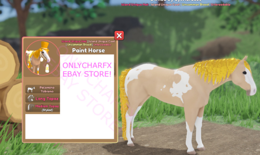 Wild Horse Islands – Rare Coat Paint Horse IUH
