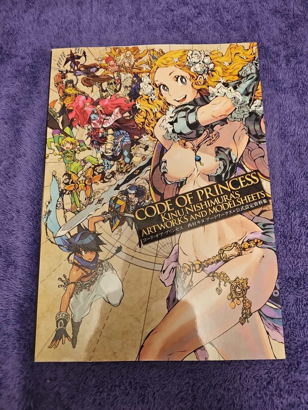 CODE OF PRINCESS Official Art Works KINU NISHIMURA 3DS Book 2012 US Seller