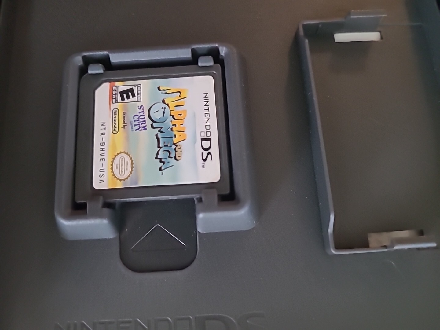 Alpha and Omega Nintendo DS with Instruction Booklet by Storm City Games