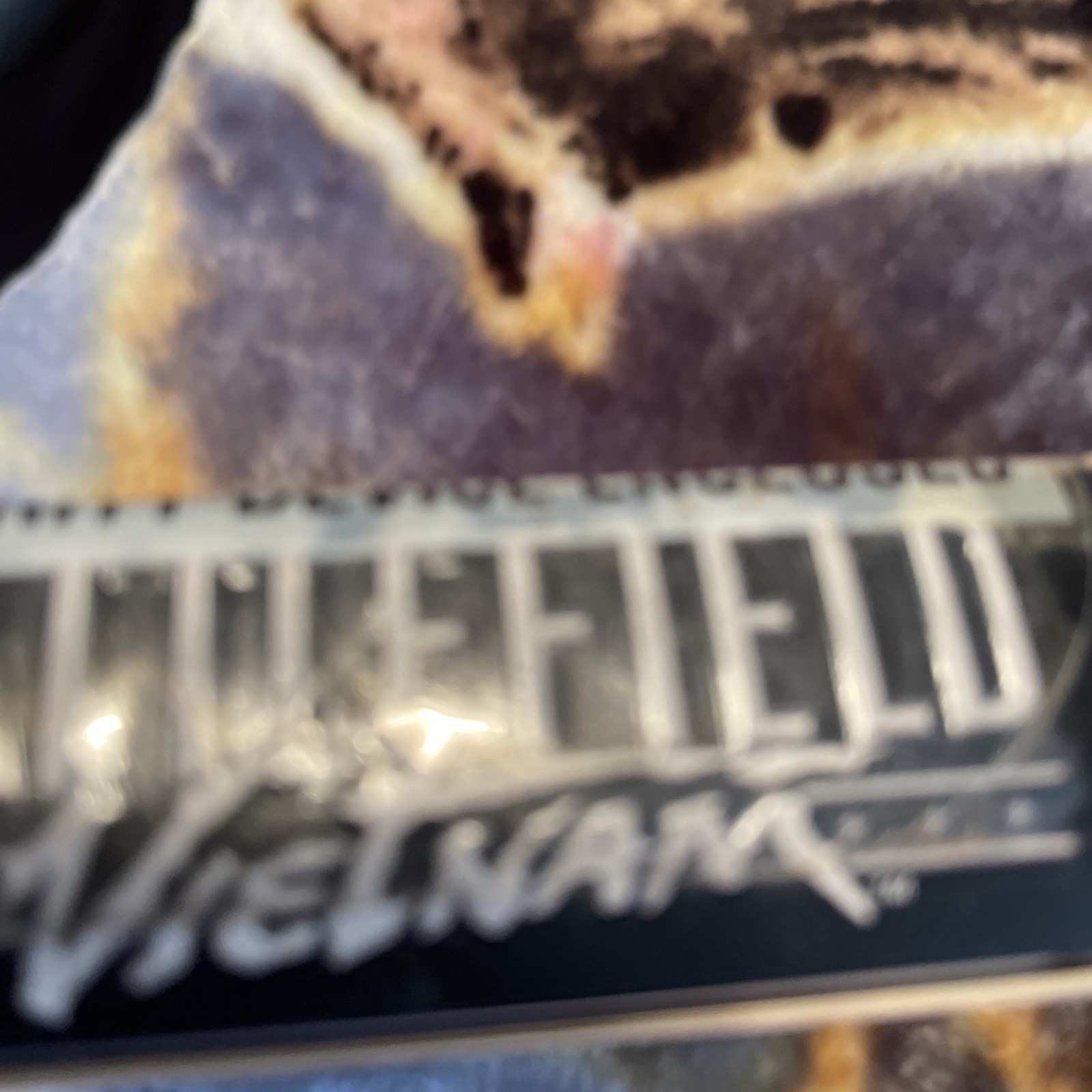 Battlefield Vietnam (PC, 2004)