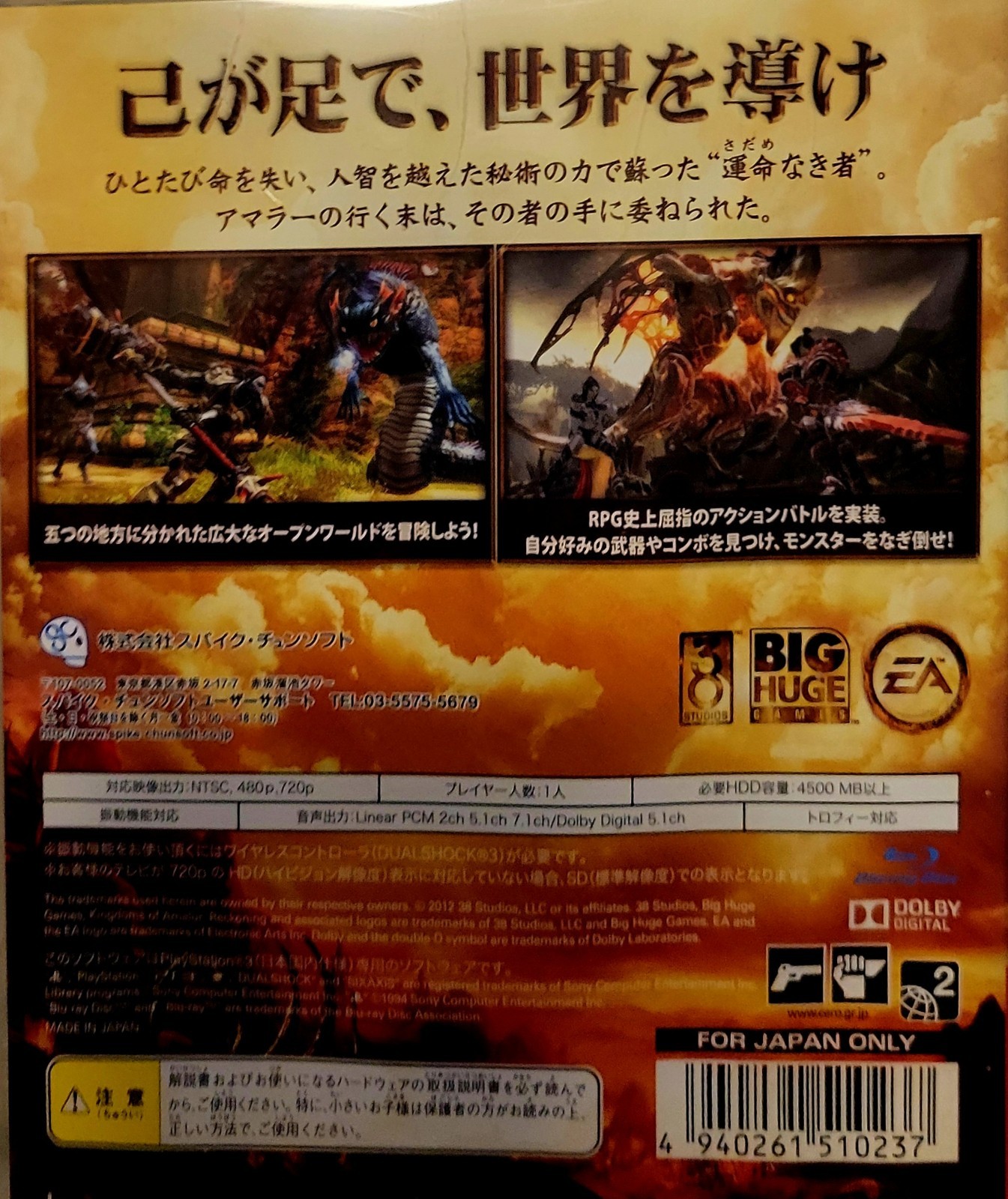 Kingdoms Of Amalur Reckoning (PS3 PlayStation 3) Spike Chunsoft Japan Import