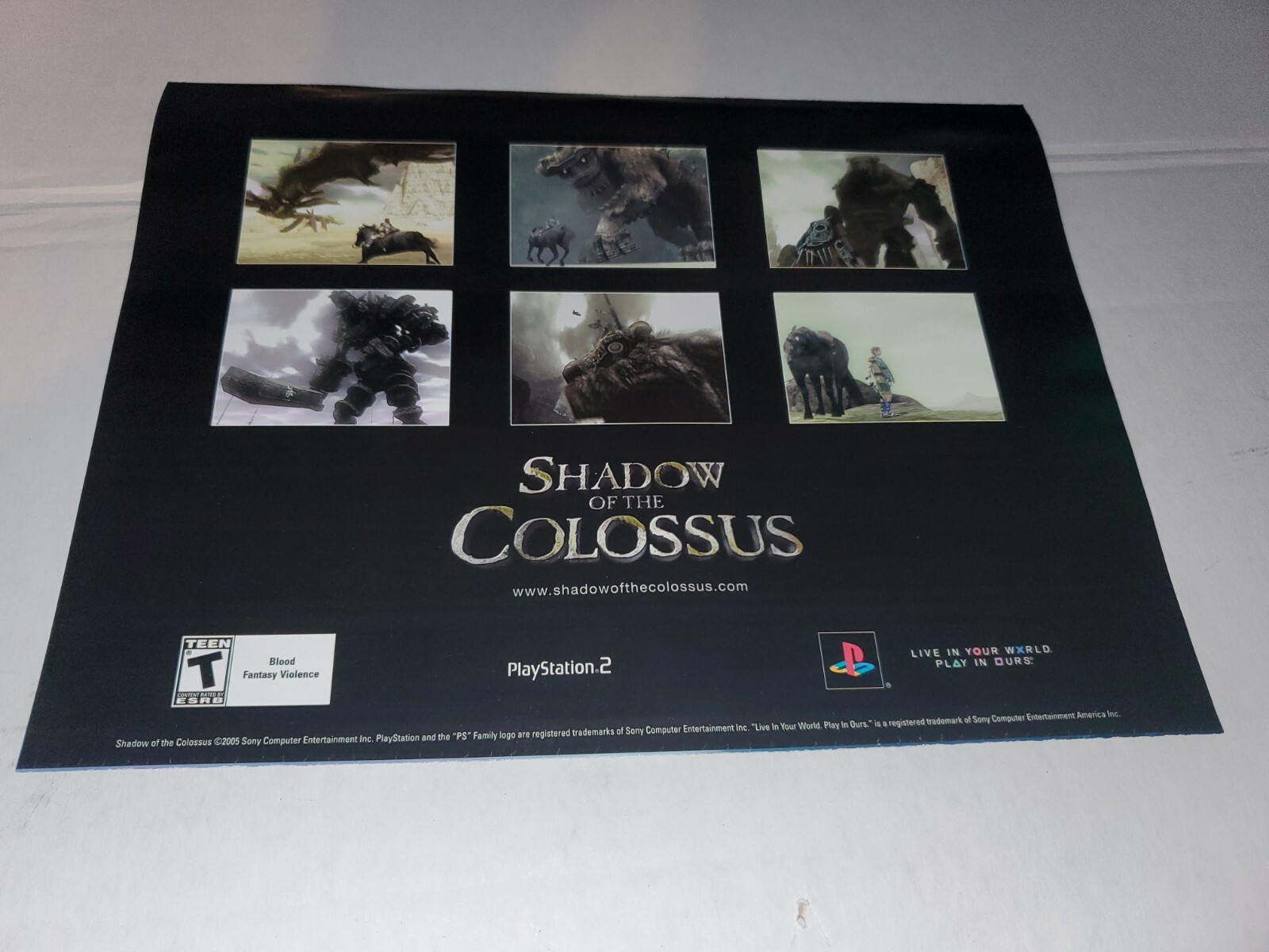 Shadow of the Colossus Playstation 2 PS2 PS1 Foldable Promo Poster Insert RARE🔥