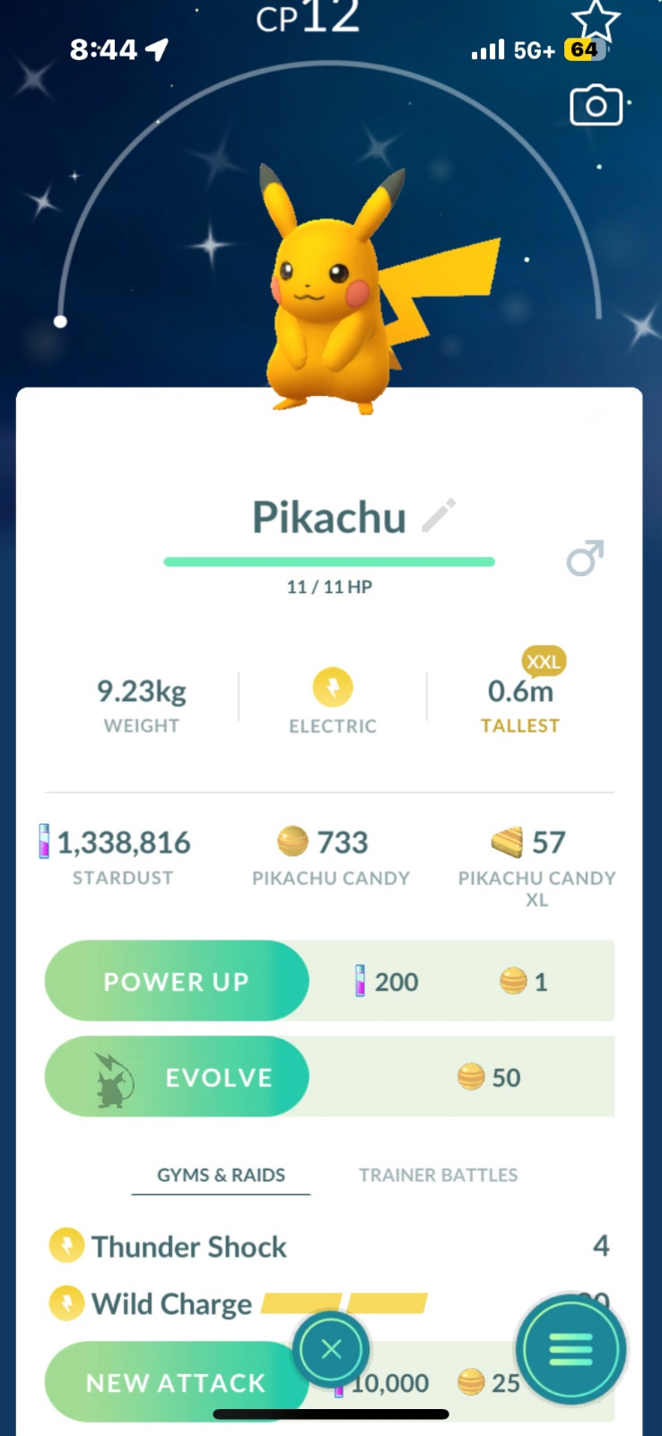 Shiny Pikachu – XXL – Level 1 – Male – Trade