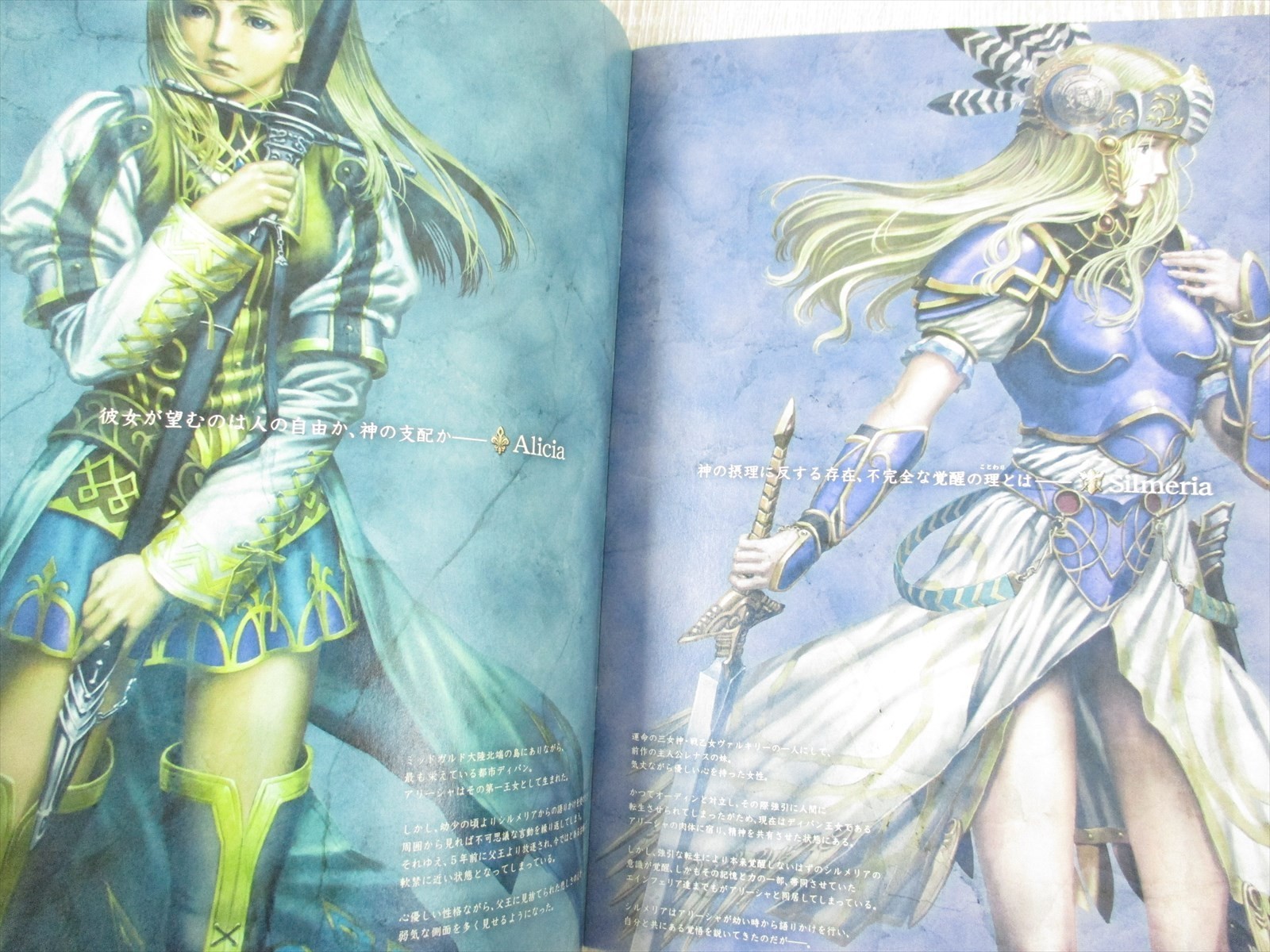 VALKYRIE PROFILE Lenneth Visual Profile Art Book Set 1 & 2 Works PS2 Ltd Booklet