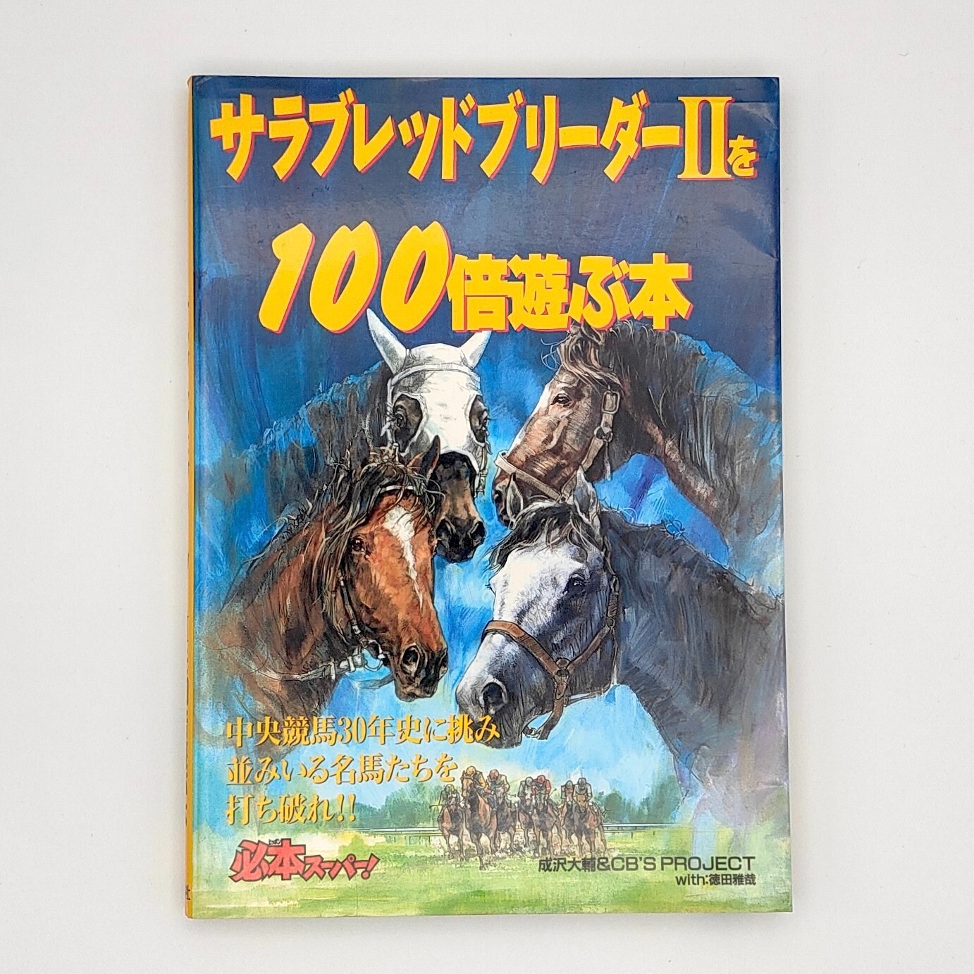 Thoroughbred Breeder 2 A book to play 100 times Guide Nintendo Super Famicom SFC