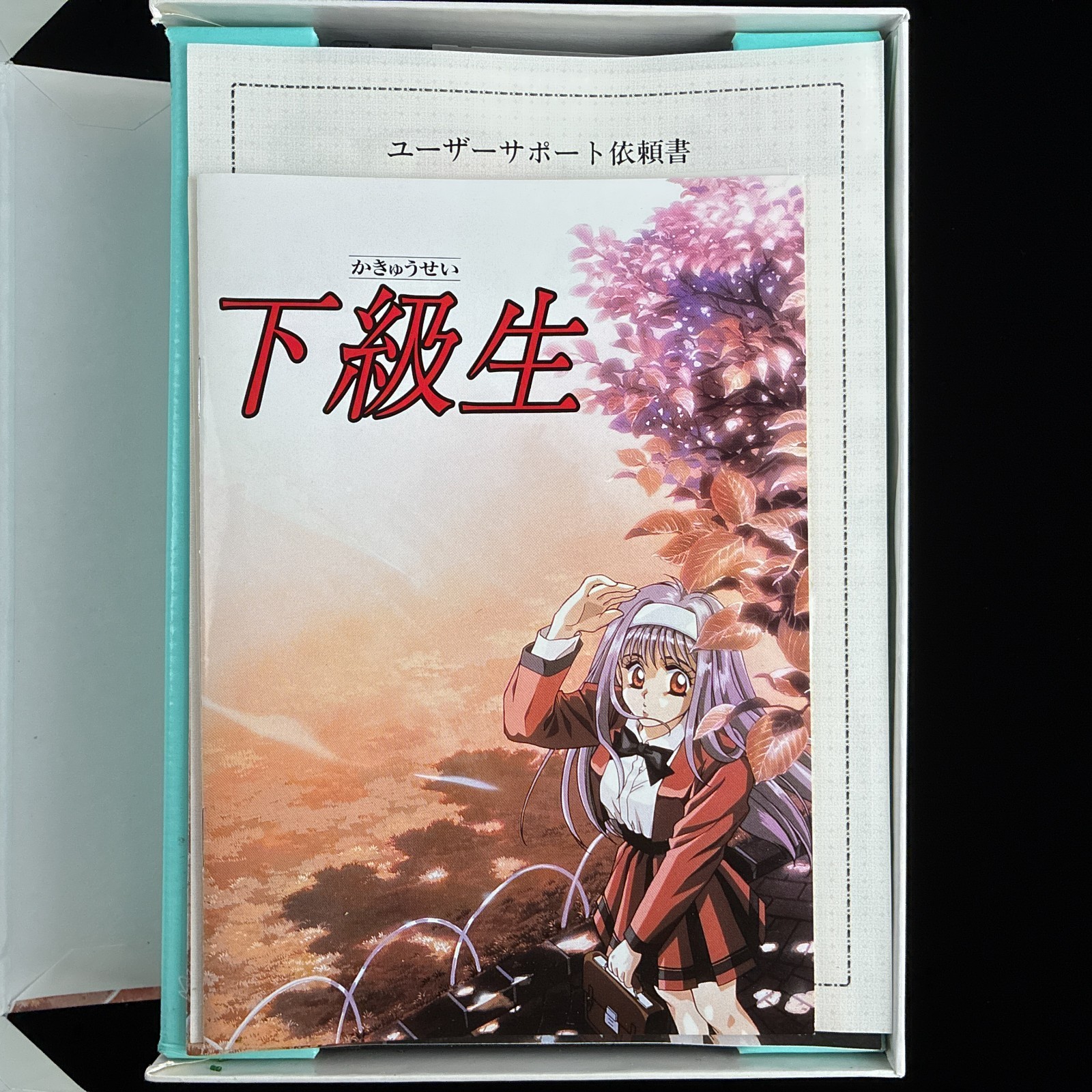 1996 elf Kakyuusei UnderClassmates PC-9801 PC98 3.5″ ADV VN Visual Novel Game