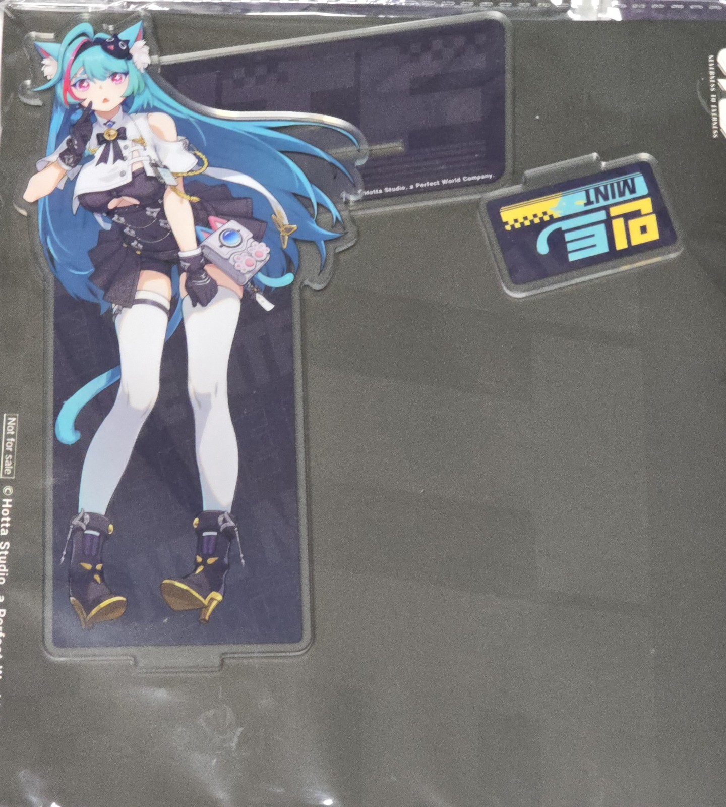 Limited Korea NTE pop-up Mint exclusive Acrylic Stand