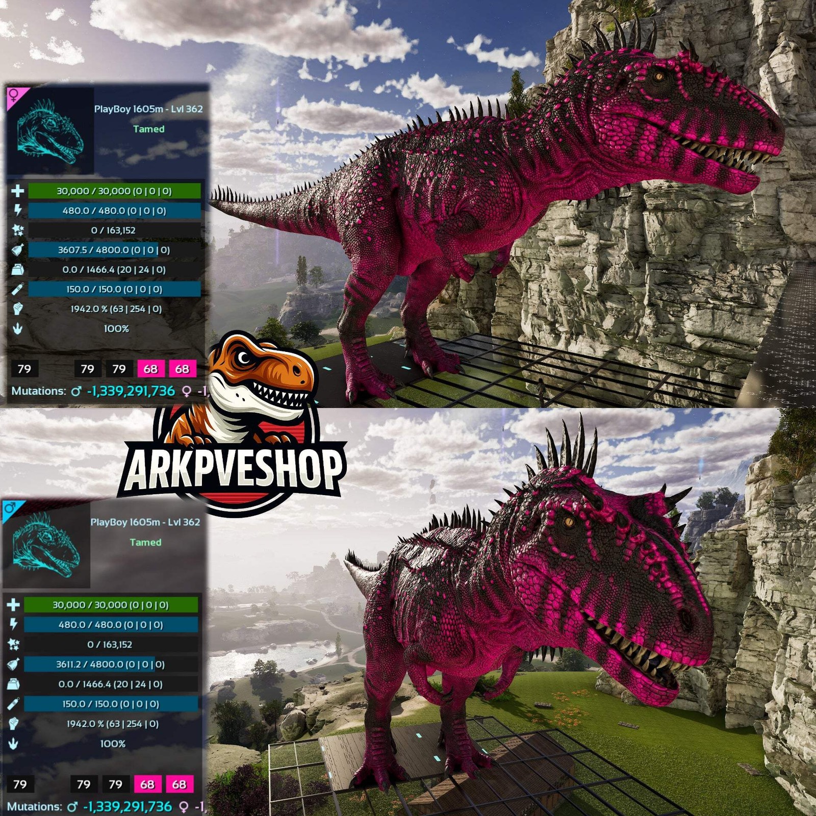 ASA PVE 🦖ARK Survival Ascended Carcharodontosaurus Carcha 1942%melee Imprinted