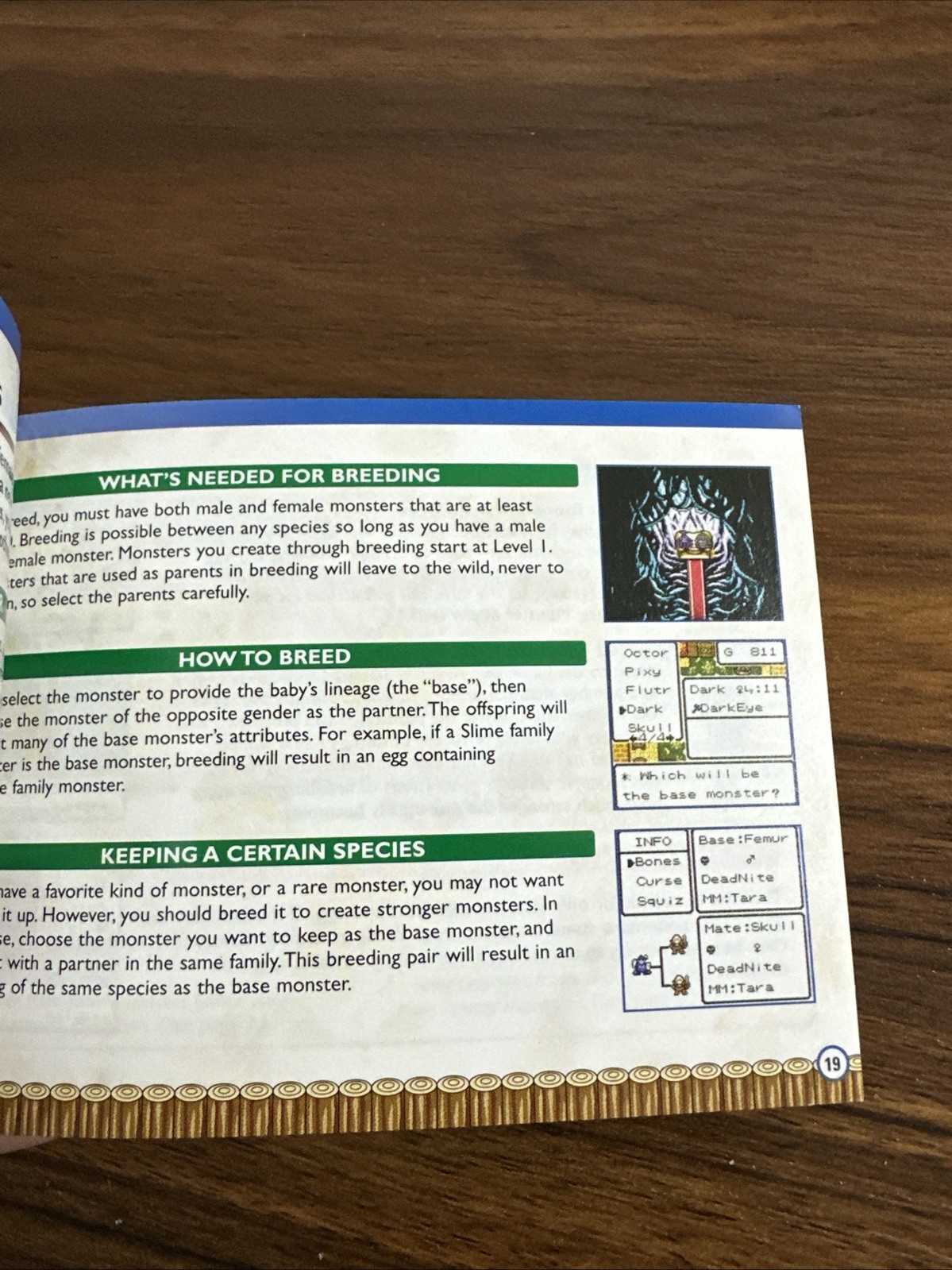 Dragon Warrior Monsters 2: Tara’s Adventure GameBoy Color GBC Manual Only