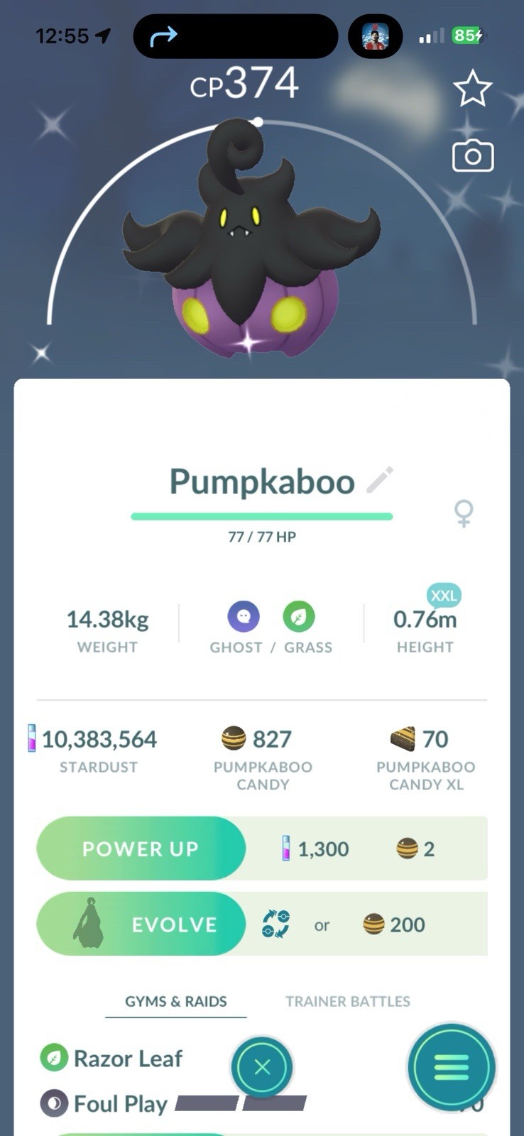 Pokémon PTC GO | LVL 70 |113✨|10.3☄️ Charcadet, Bg Ditto X 9