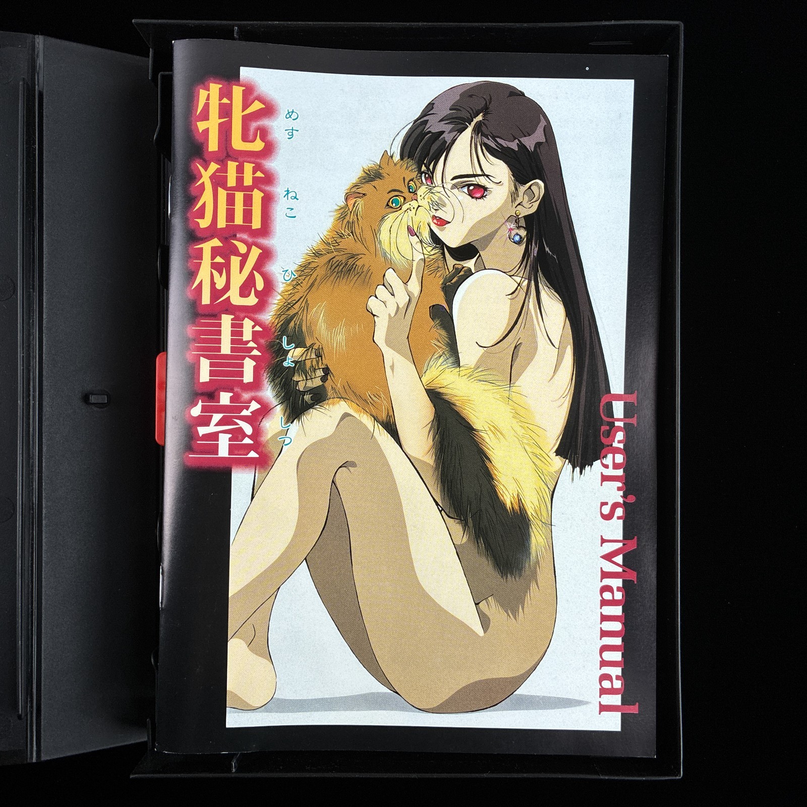 1995 Melody Mesuneko Hishoshitsu PC-9801 PC98 3.5″ VN Visual Novel Game Japan