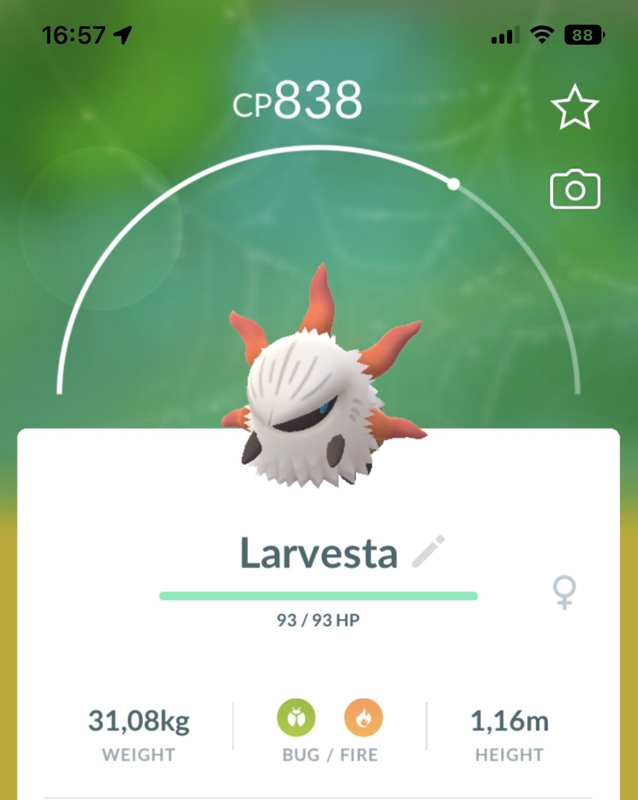 Larvesta Pokemon Trade Go Pokémon Volcarona Unova Gen5