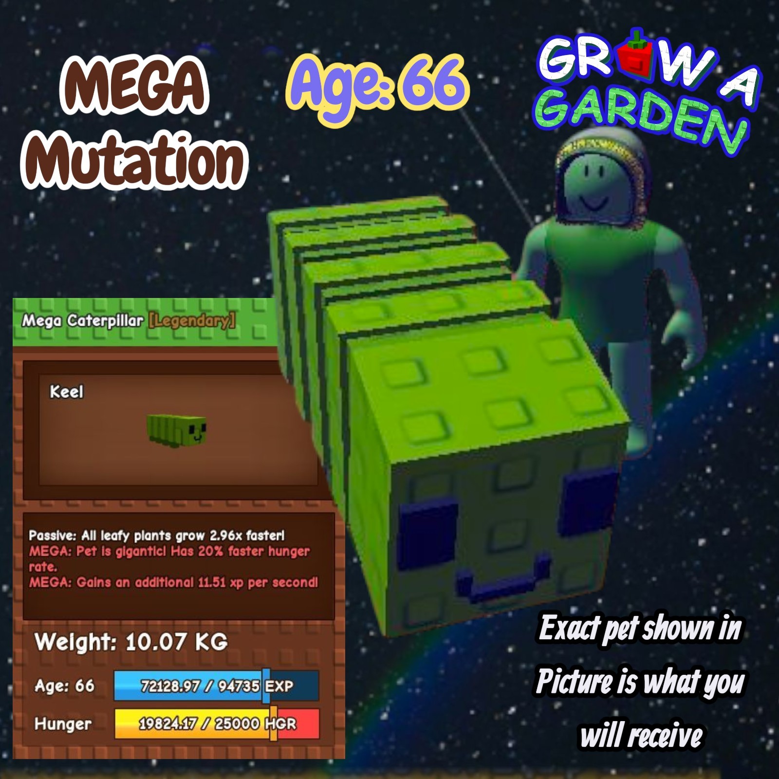 MEGA Caterpillar Pet. Age/Weight Shown In Photo. Grow A Garden. Same Day