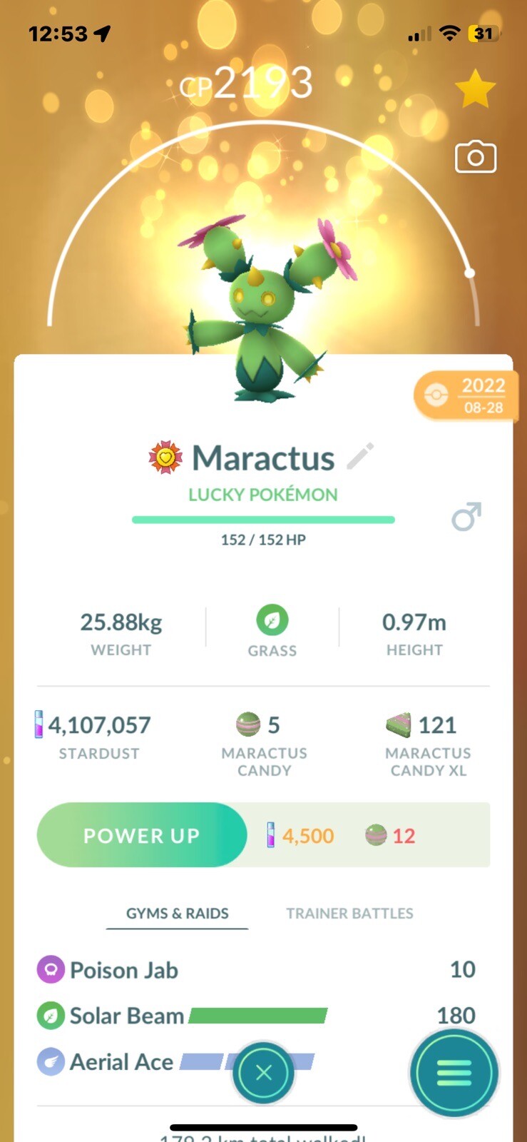 ⭐️Pokemon Go #556 Maractus ⭐️*Regional*Gifts and Friendship Included