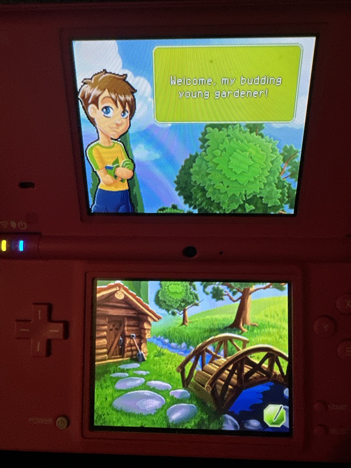 Nintendo DS Let’s Play Garden CIB Complete Tested & Working NDS Deep Silver 2010