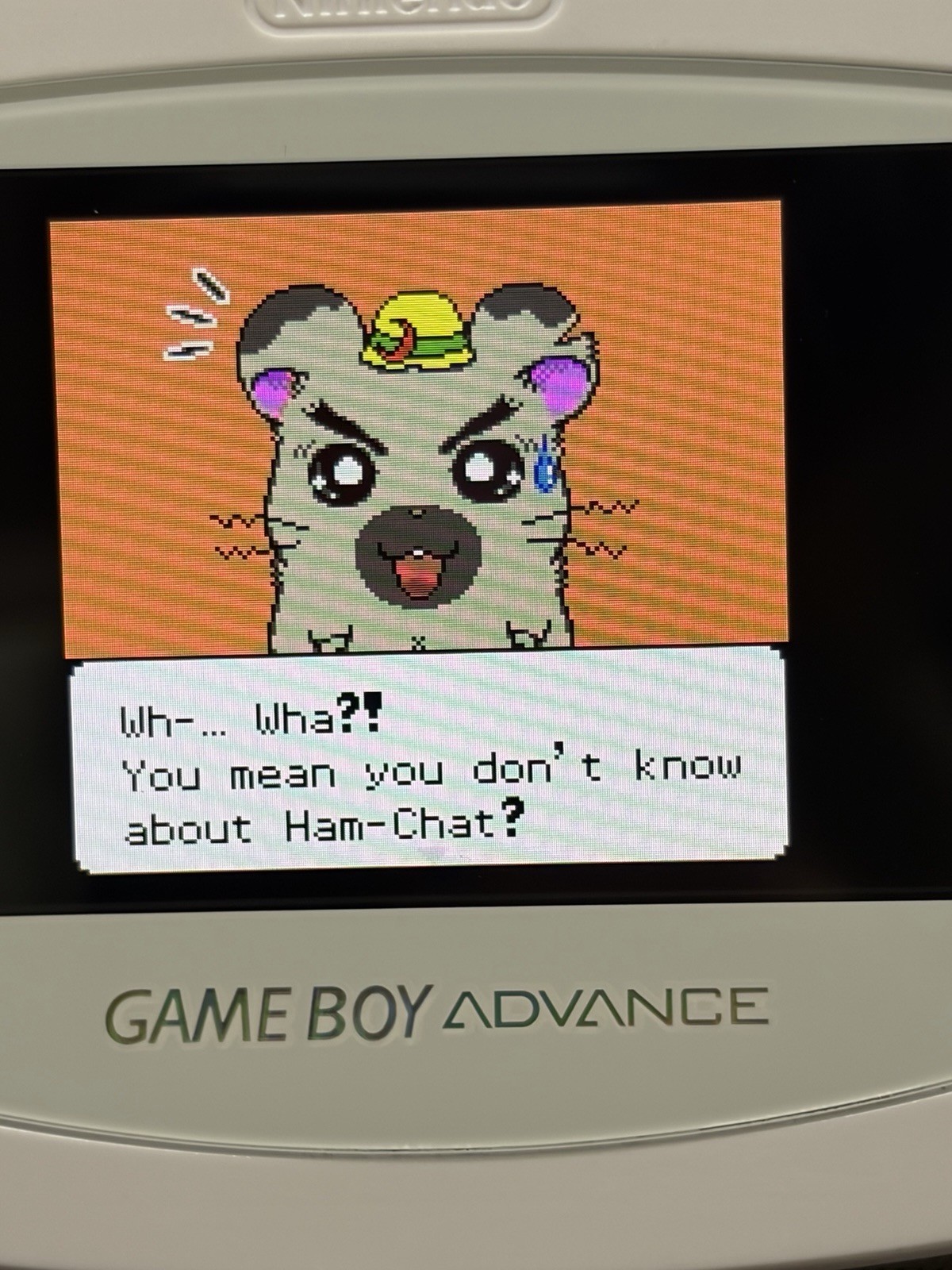 Hamtaro: Ham-Hams Unite (Nintendo Game Boy Color-GBC-TESTED-NEW BATTERY-NICE!!