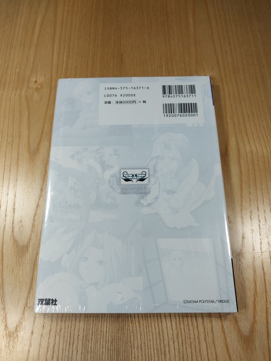 Guardian Angel PS2 Strategy Guide Book, Complete, Free Shipping