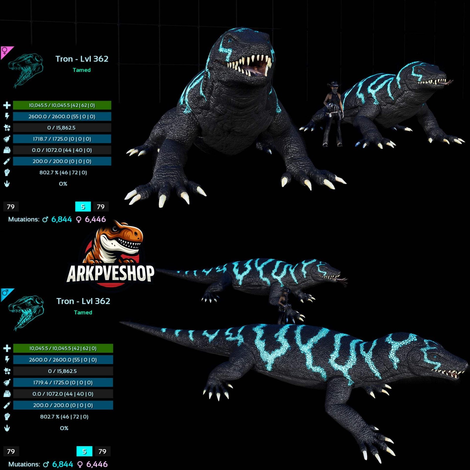 ASA PVE 🦖ARK Survival Ascended Megalania 362Lvl toxin utility