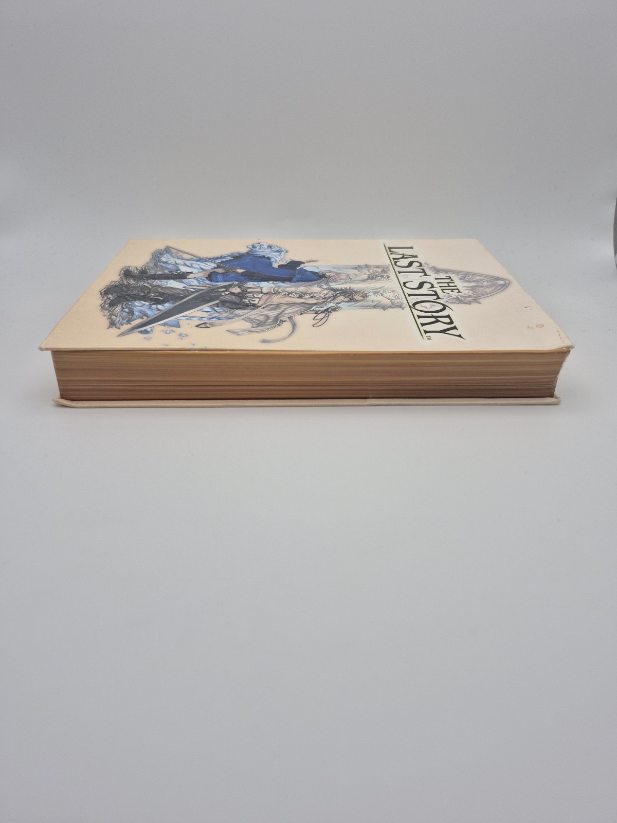 The Last Story Limited Edition (Wii) Complete in box