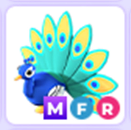 PET NEW HOT 🔥 MFR Peacock 🔥 The Trusted Store!!