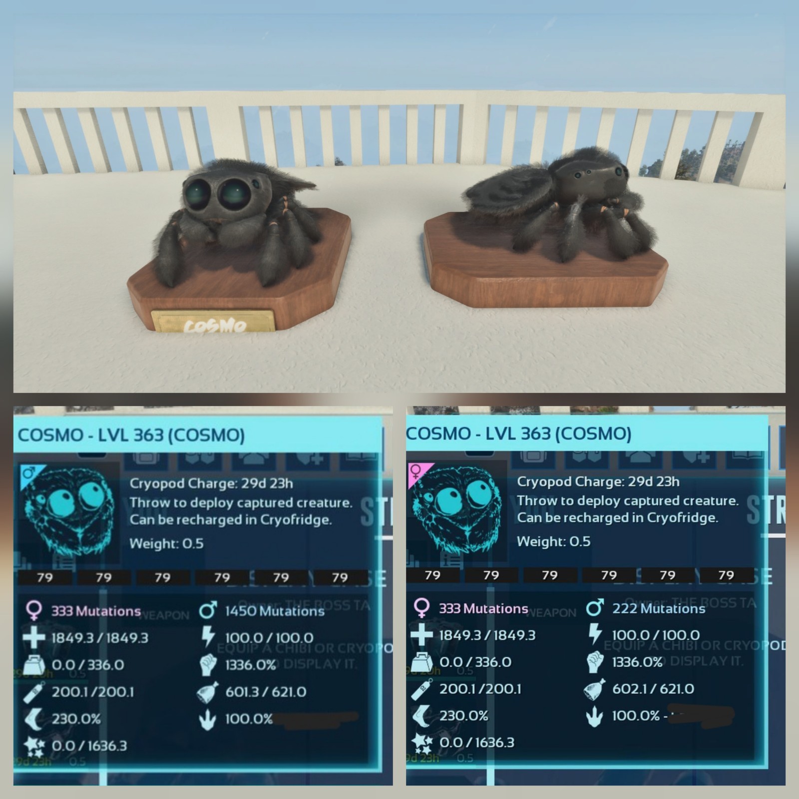 COSMO FULL BLACK ID79 PAIR ADULT 100% IMPRINT ARK ASCENDED PVE. PC/XBOX/PS5.