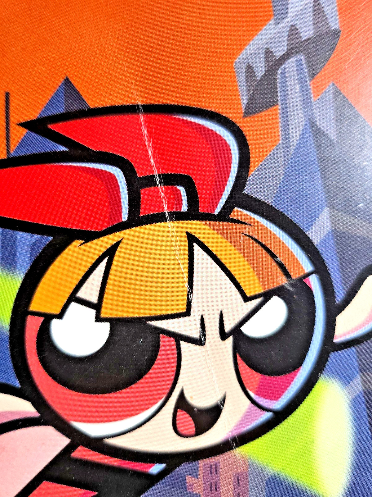 The Powerpuff Girls Relish Rampage Instruction Manual Only – PlayStation 2