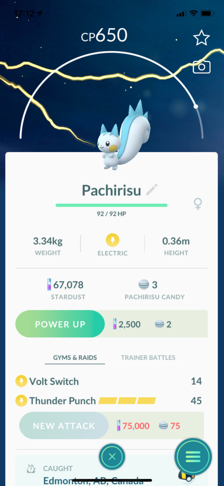 Pokemon TRADE – Pachirisu !! Regional Pokemon ! Safe, Cheap & Fast !