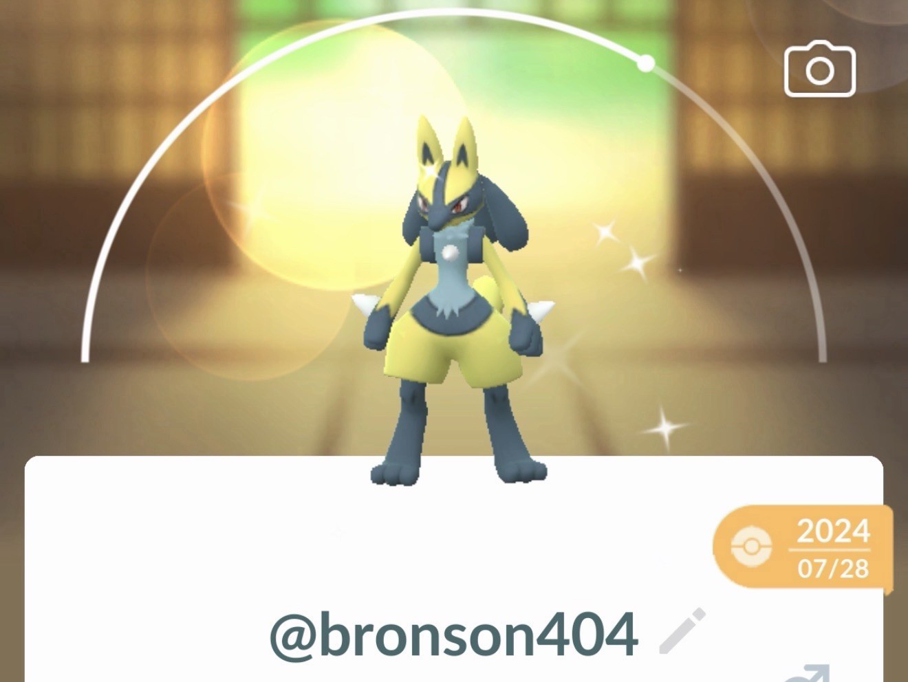 Pokemon Shiny Lucario – Unregistered G0