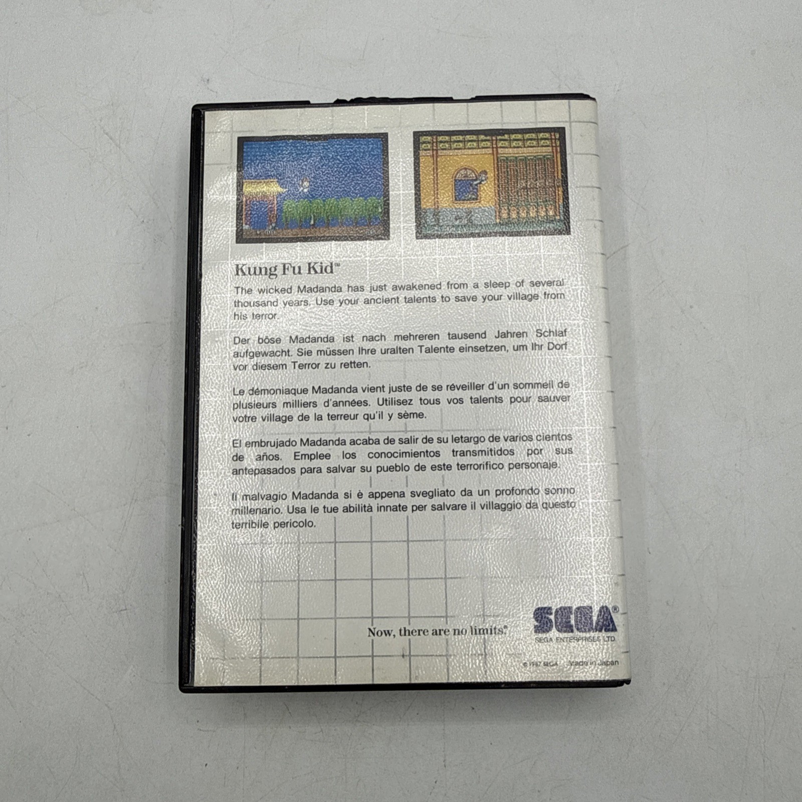 Kung Fu Kid The Mega Cartridge Sega Master System 1987 With Manual