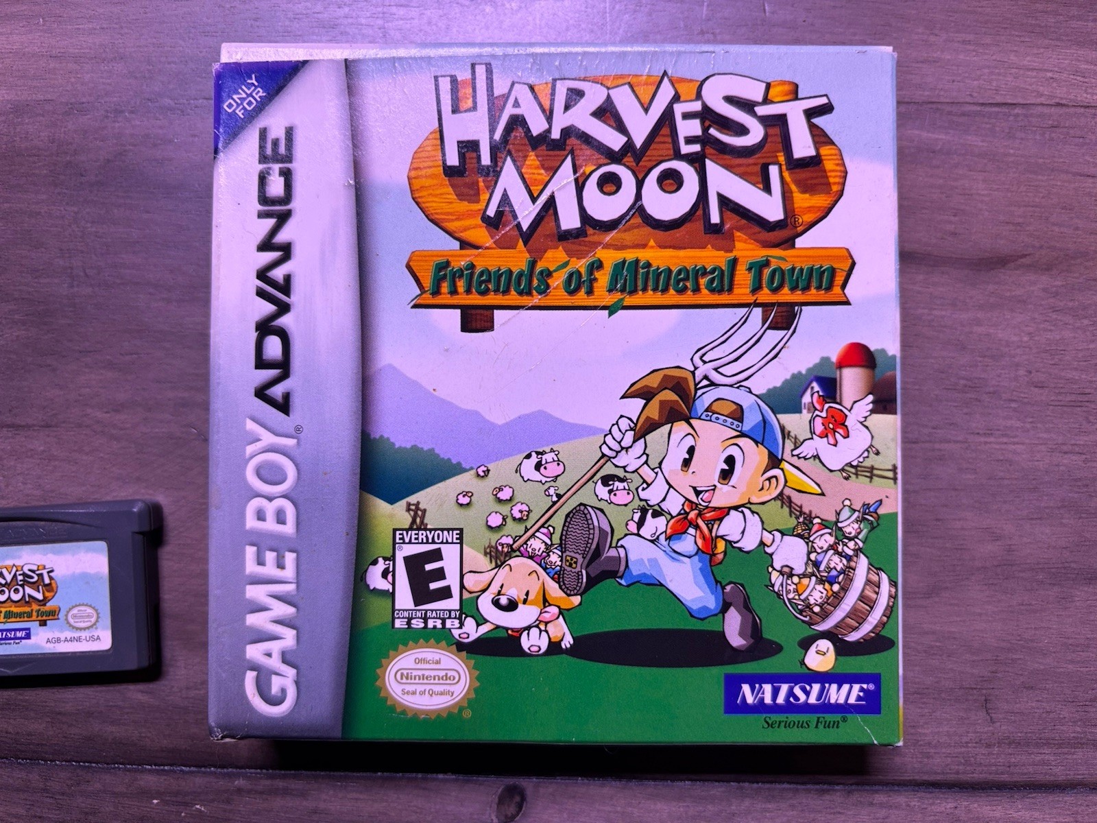 Harvest Moon: Friends of Mineral Town Complete Box Manual Reg Ca…
