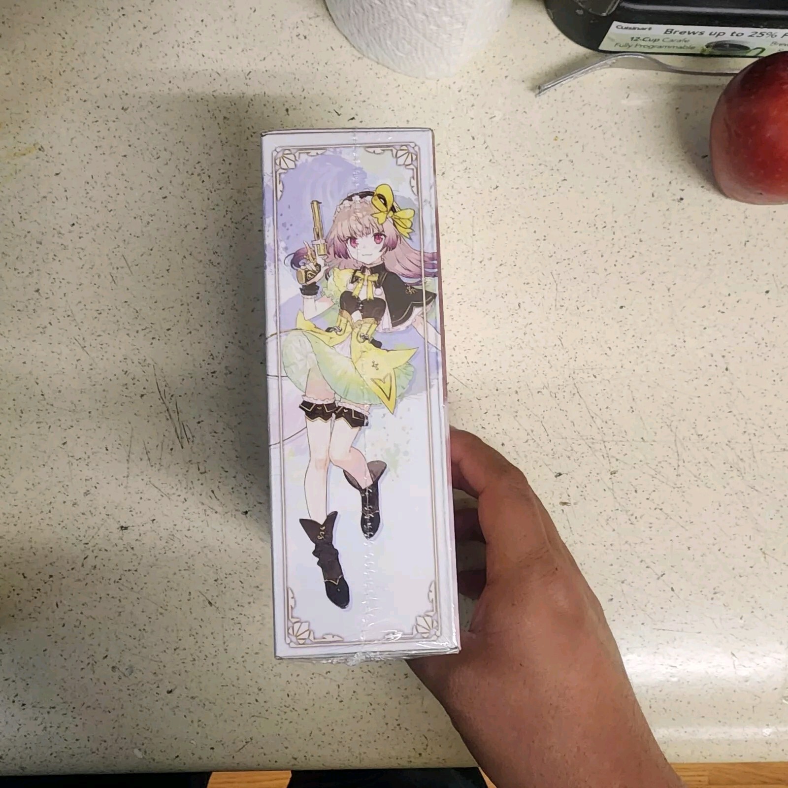 Atelier Lydie & Suelle The Alchemists and the Mysterious Paintings Switch New