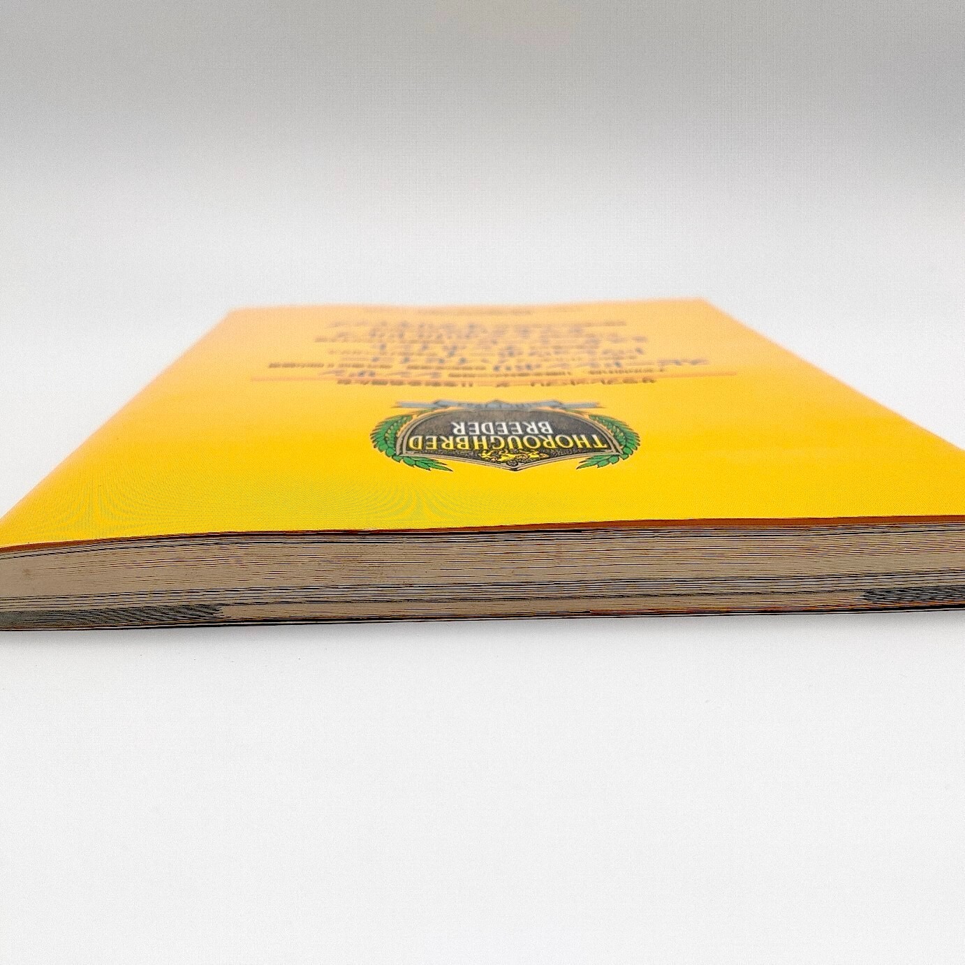 Thoroughbred Breeder 2 A book to play 100 times Guide Nintendo Super Famicom SFC
