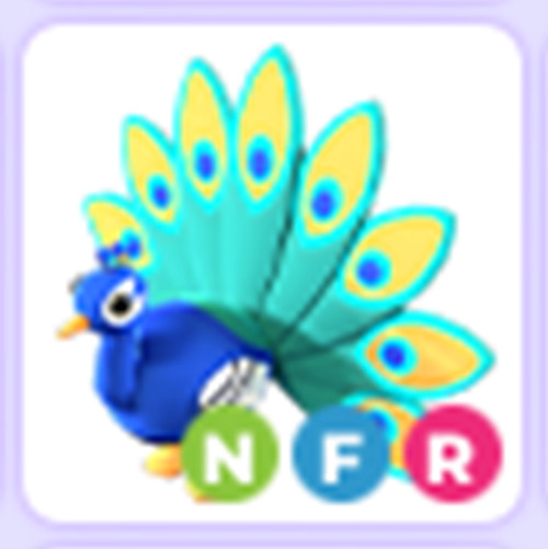 PET NEW HOT 🔥 NFR Peacock 🔥 The Trusted Store!!