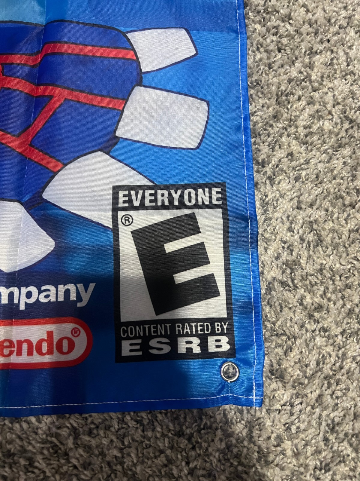 Pokemon Sapphire Version Gameboy Advance Custom Wall Banner Tapestry 3 x 3 Ft