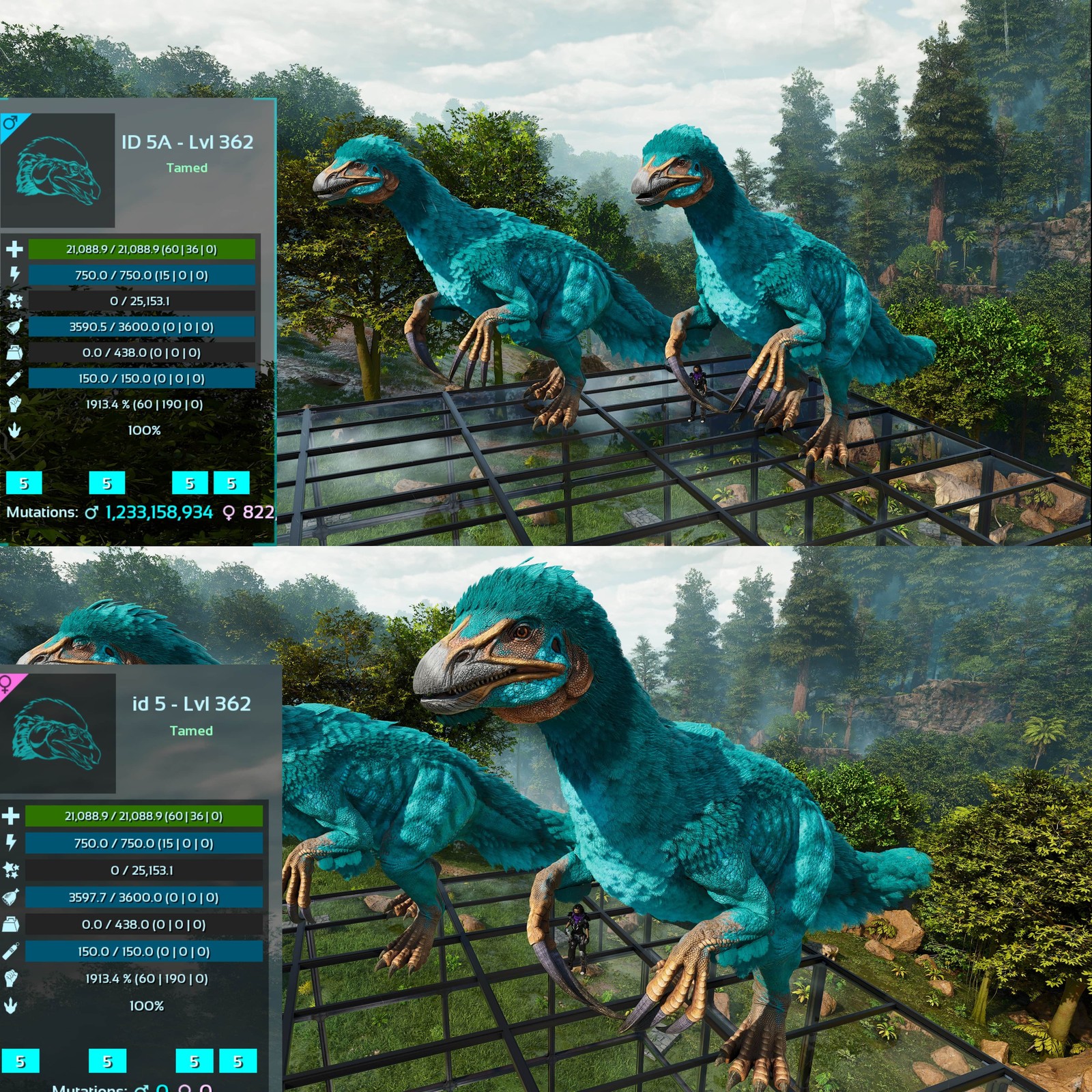 ASA PVE 🦖ARK Survival Ascended Therizinosaurus / Theri 1913Melee Imprinted