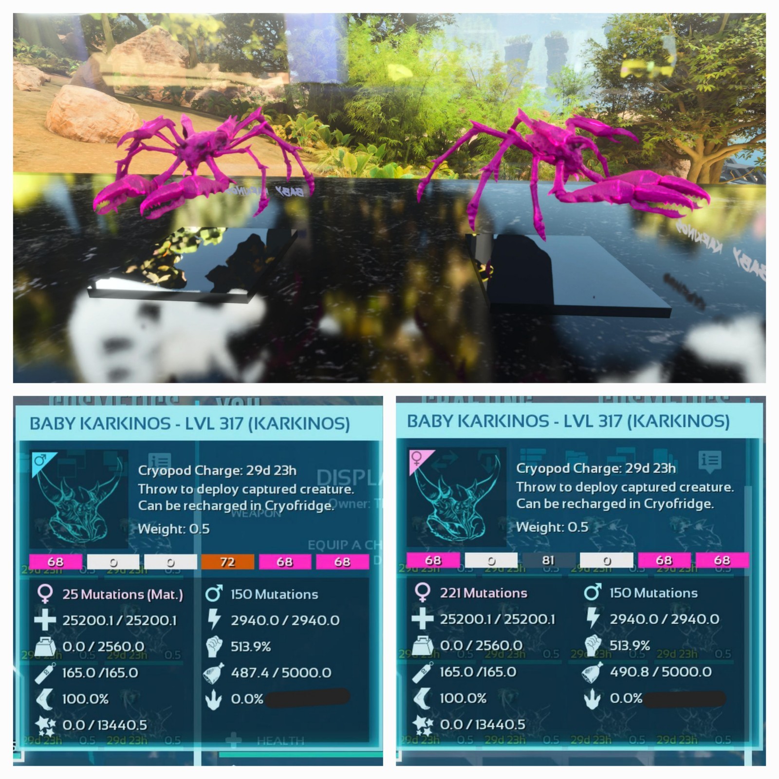 ARK ASCENDED PVE OFFICIAL PAIR BABY KARKINOS PINK 25K HP 2.5K WEIGHT 513 MELEE