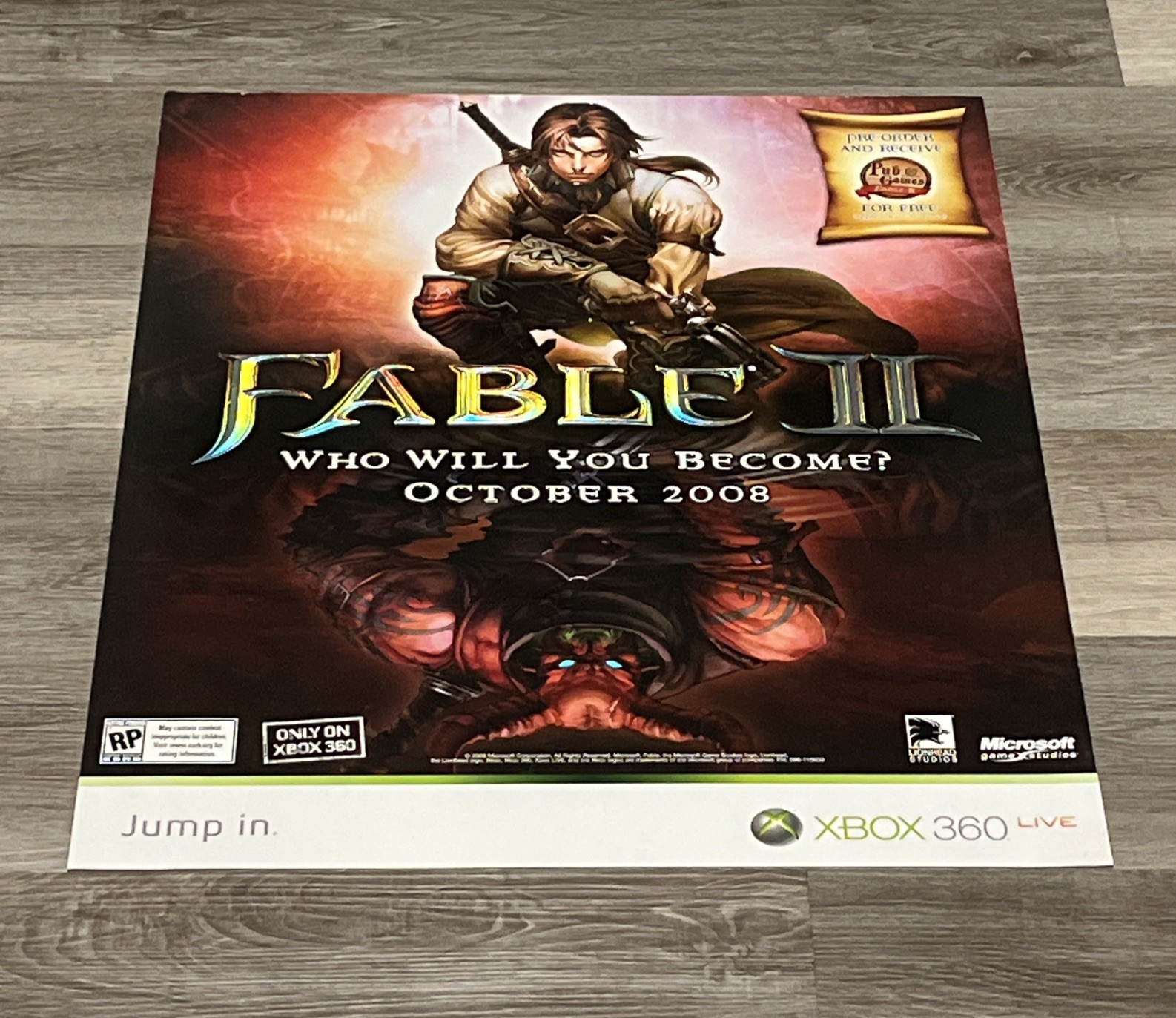 Fable II XBox360 Vintage GameStop VideoGame Embossed Retail Promo Poster 28”x22”