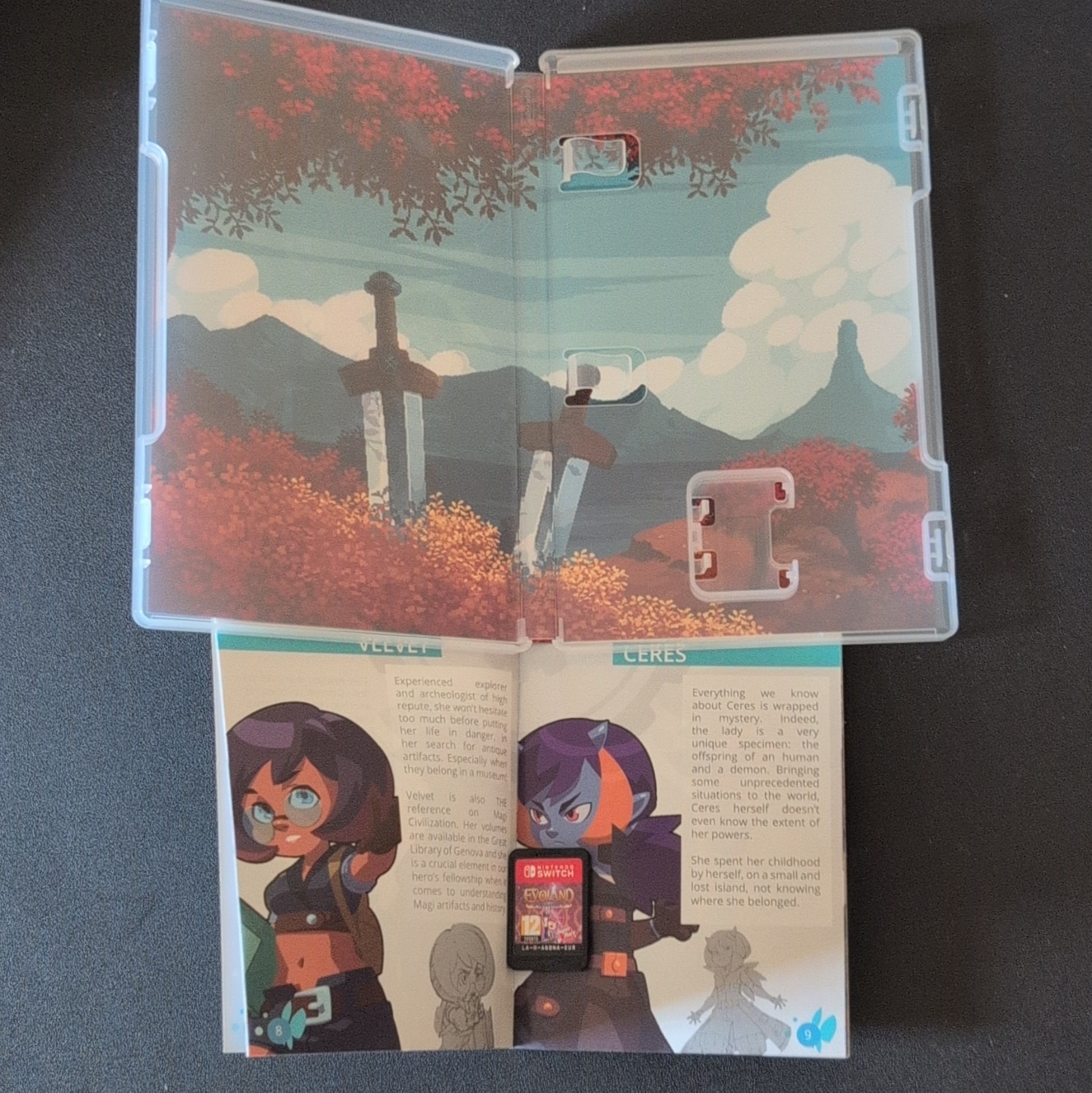 Super Rare Games Evoland Legendary Edition Switch PAL PEGI 12 Manual