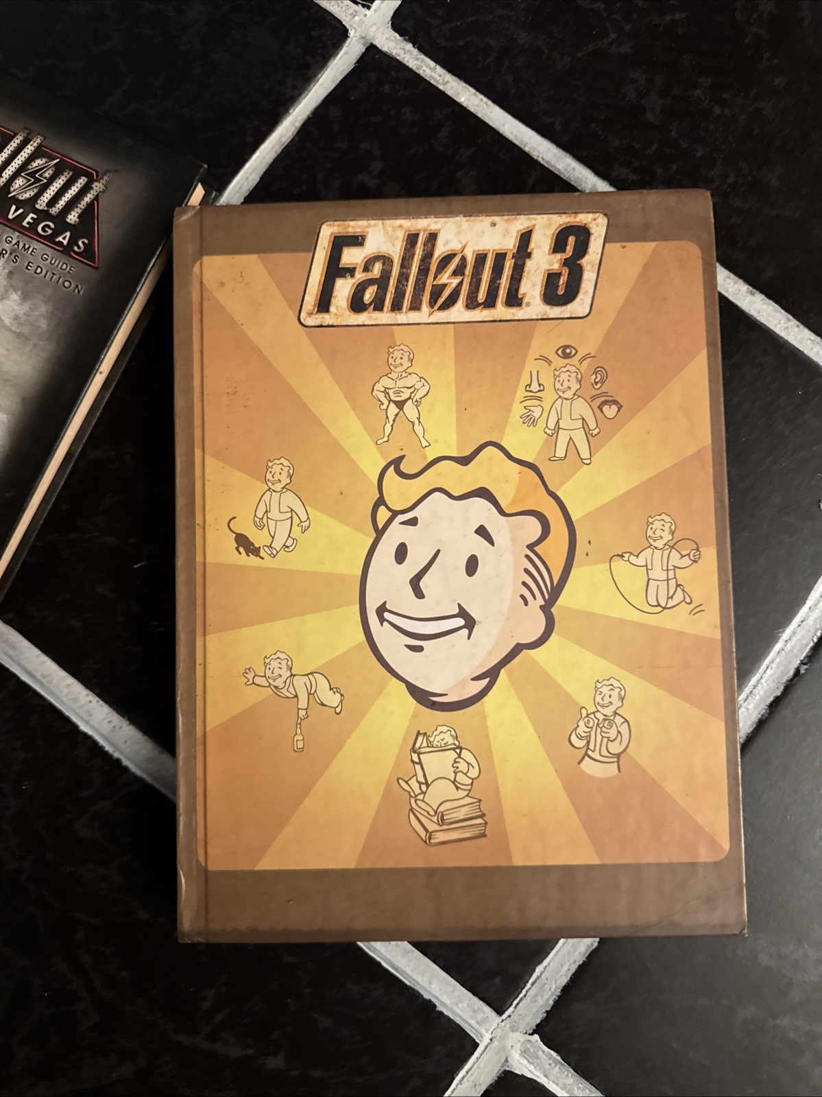 Lot Of 2- Fallout 3 And Fallout New Vegas Limited Edition Collector Edition