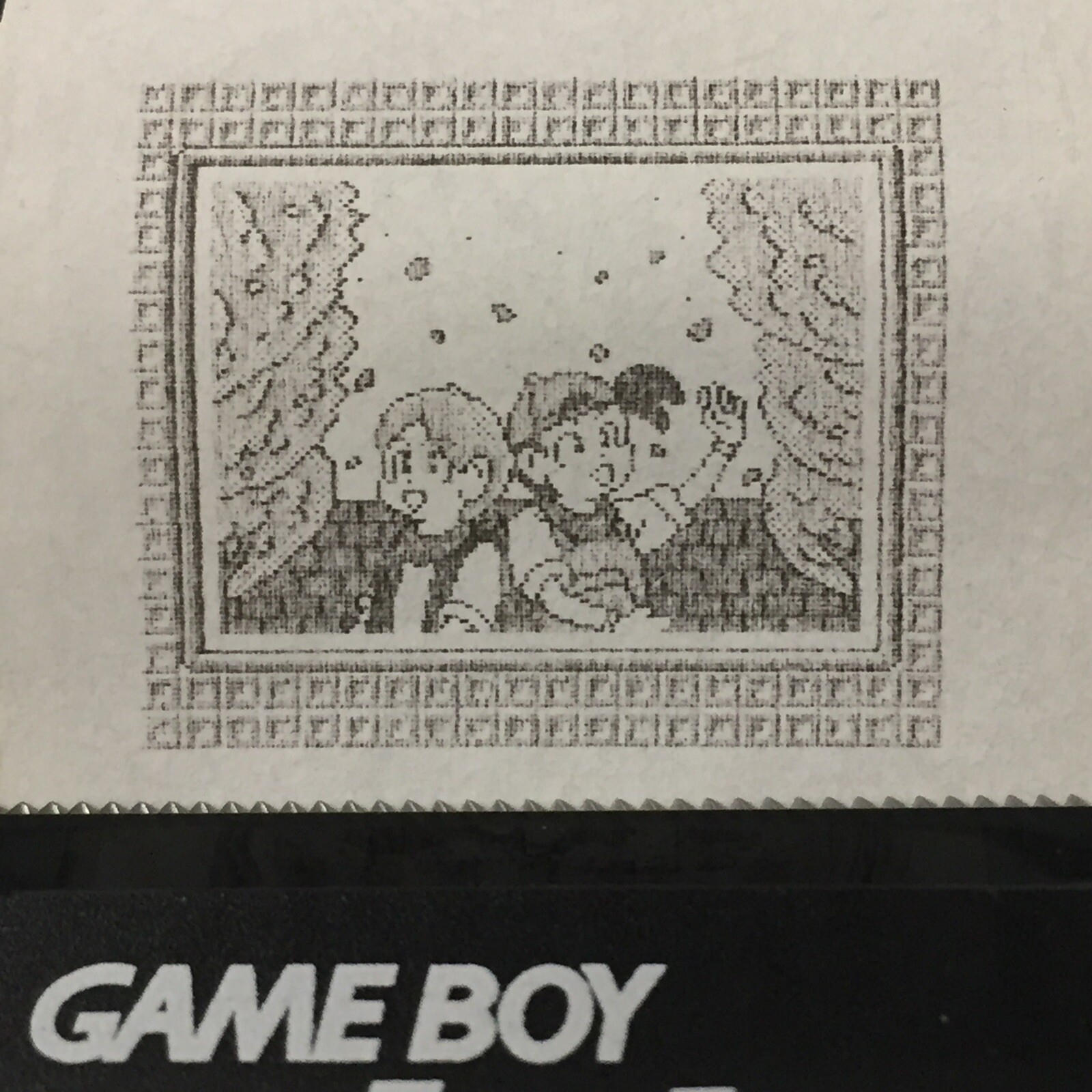 Harvest Moon 2 (GBC) ALL Photos – Game boy Printer Print-outs (64)