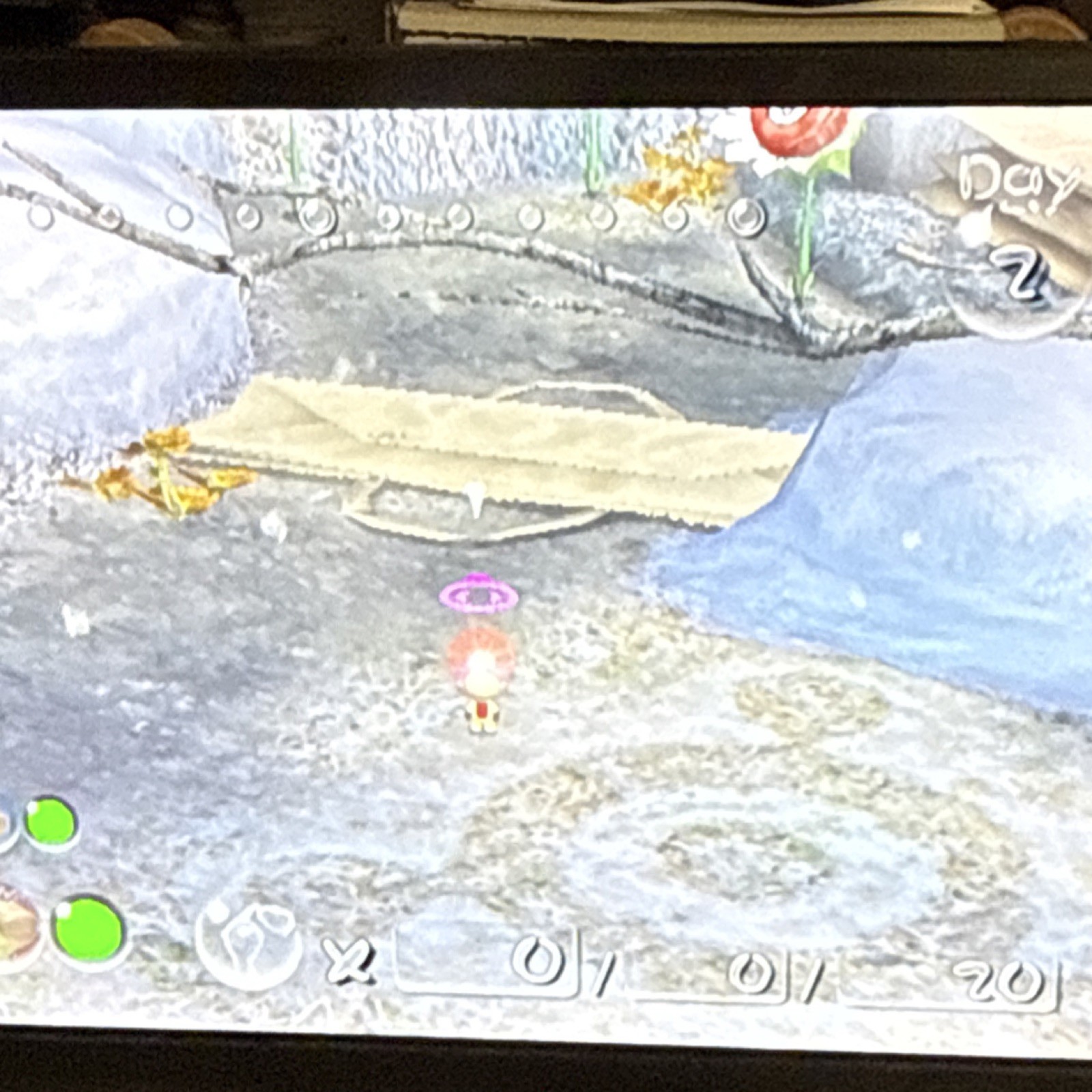 Nintendo Pikmin 2 GameCube Action-Adventure E Manual Included NTSC-U/C (US/CA)