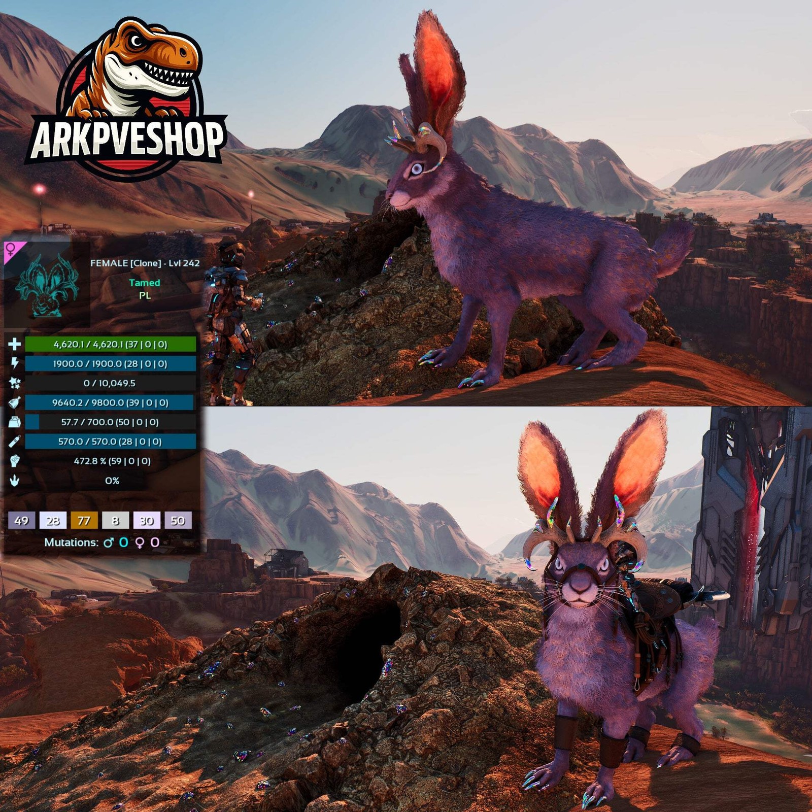 Burrowbuck Burrowdoe Rabbit High&Low Lvls Clone ASA PVE 🦖ARK Survival Ascended