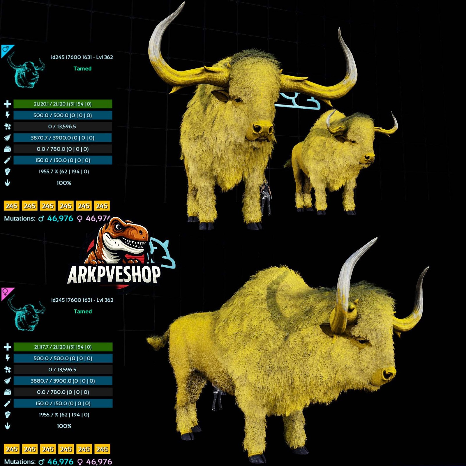 ASA PVE 🦖ARK Survival Ascended Bison 362Lvl 1955.7% Melee