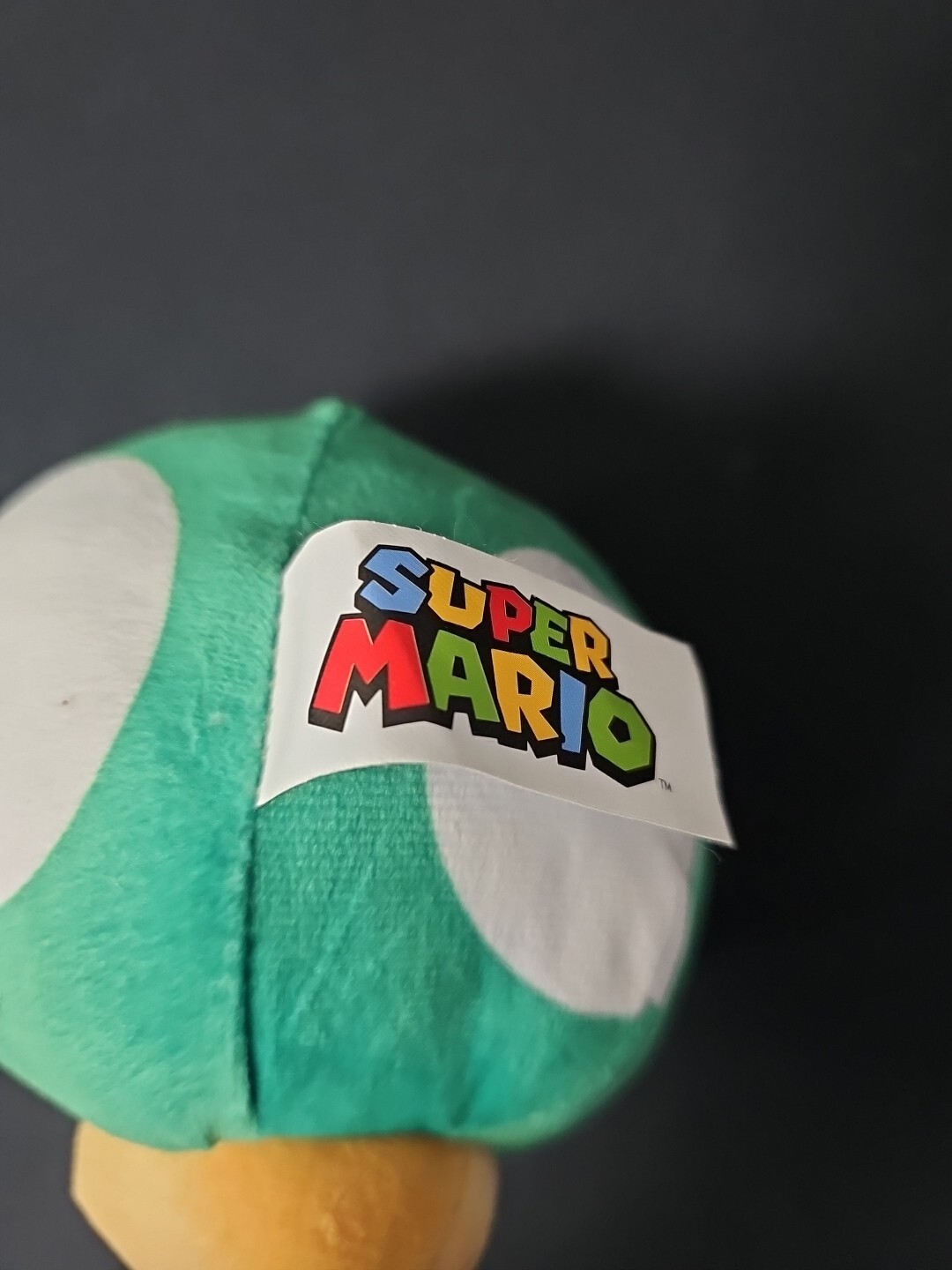 Super Mario Bros 1-UP Green Mushroom 6″x4″ Plush Doll Stuffed Toy 2021 Nintendo