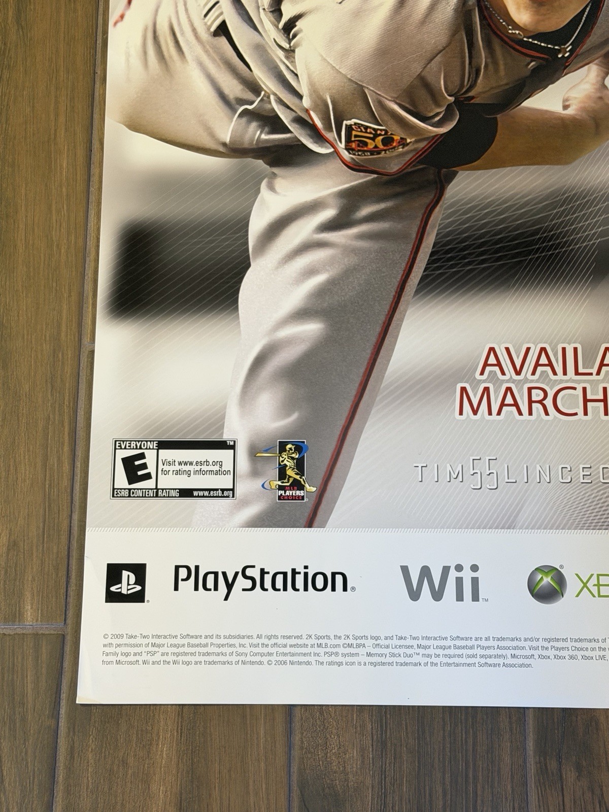 MLB Baseball 2K9 Video Game Hollywood Entertainment Promo Poster (21” X 36”)