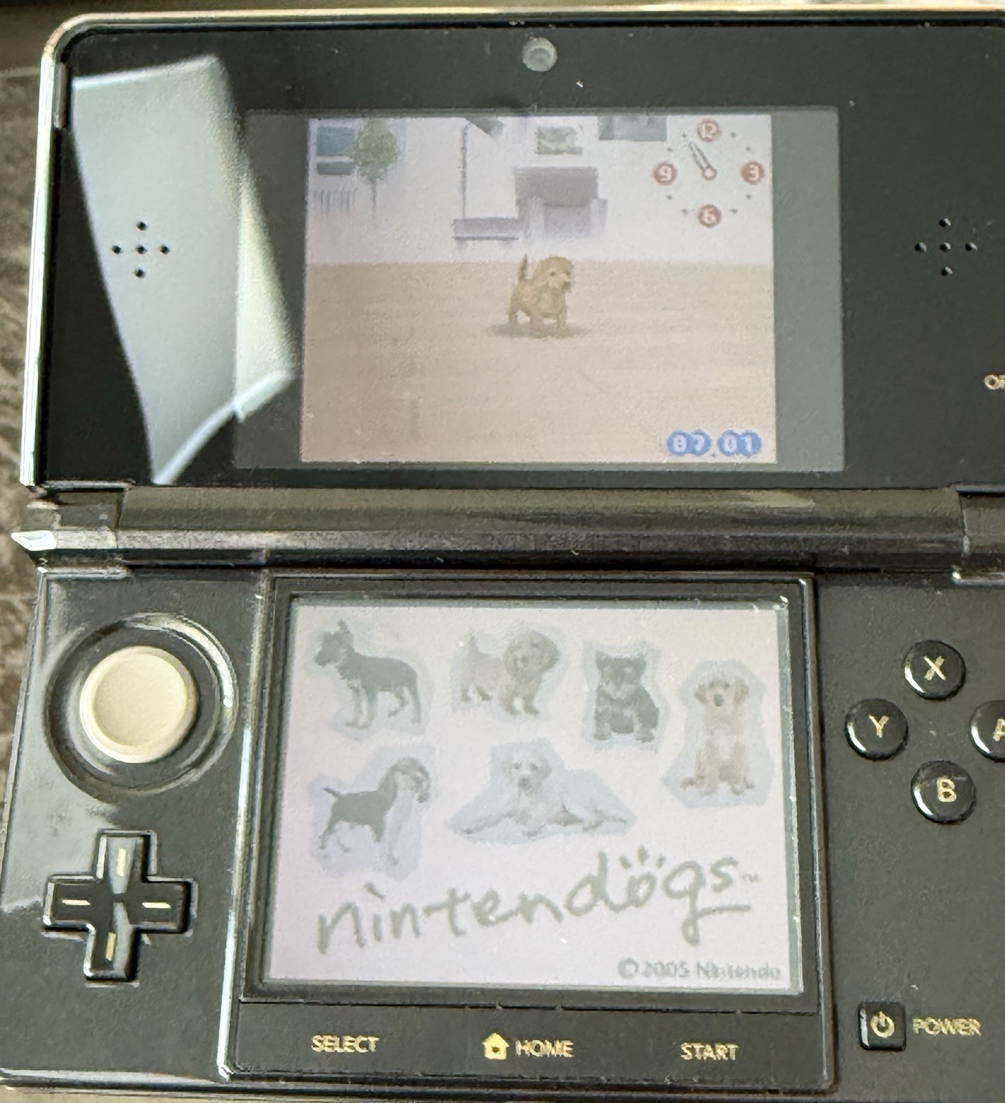Nintendogs: Best Friends (Nintendo DS, 2007) Authentic Cartridge TESTED