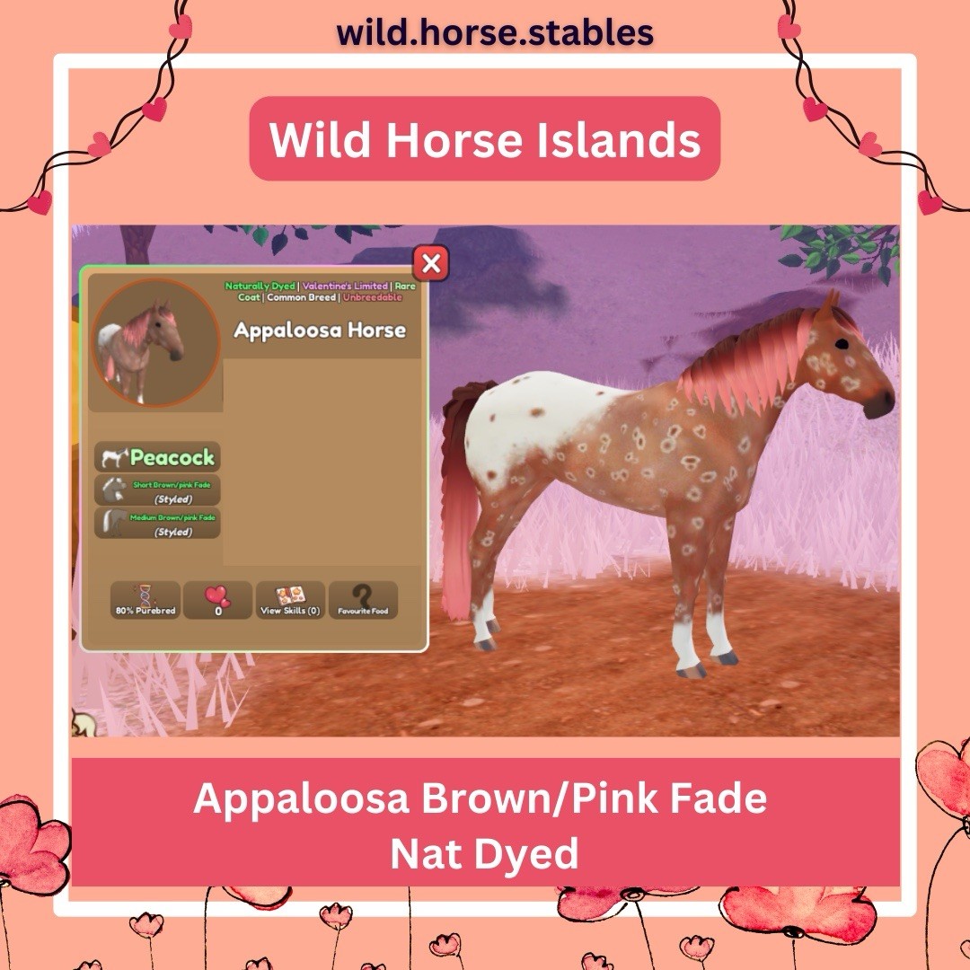 Wild Horse Islands – Peacock Appaloosa Brown/Pink Fade Nat Dyed