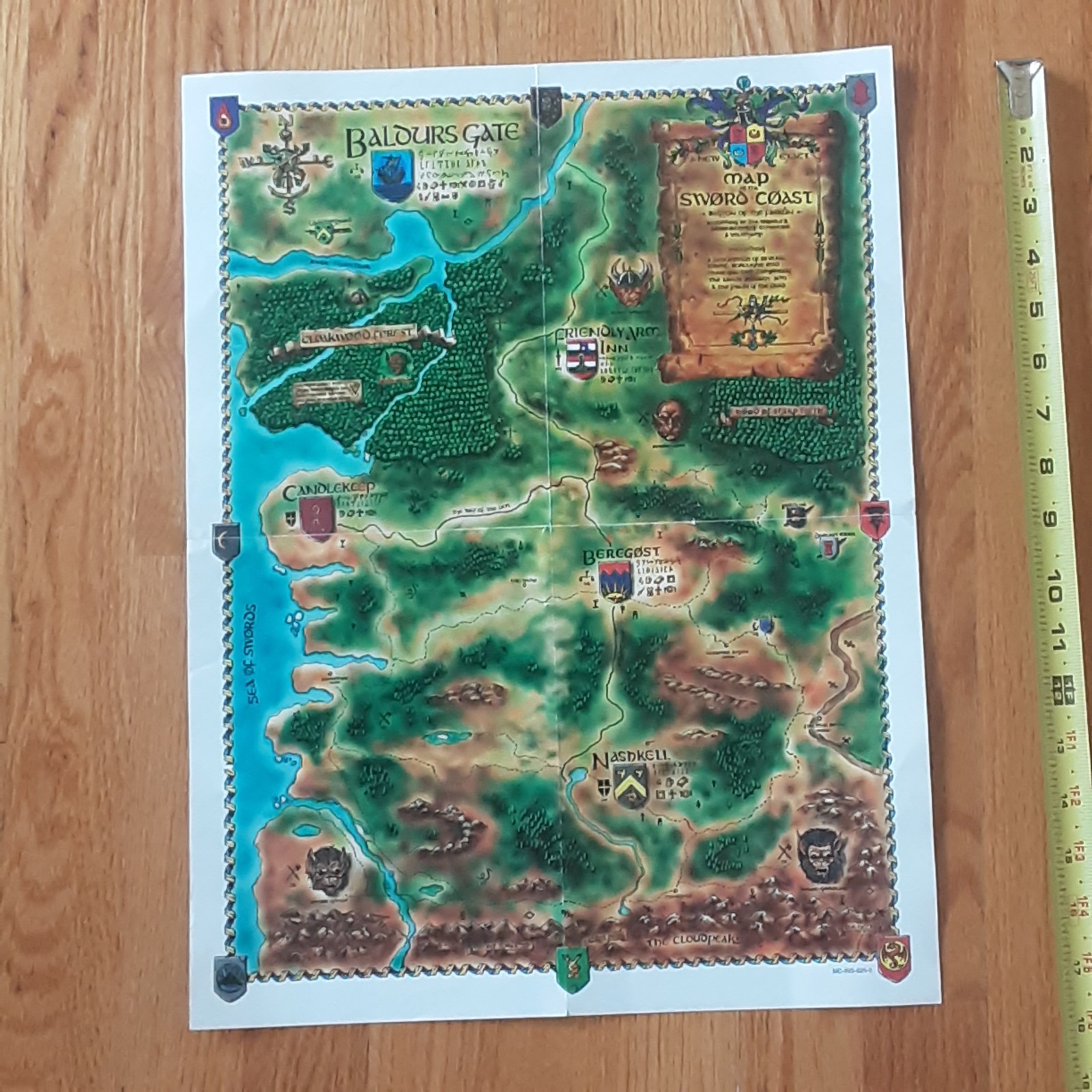 BALDUR ’S GATE SWORD COAST MAP FOLD OUT POSTER INSERT FOLDED