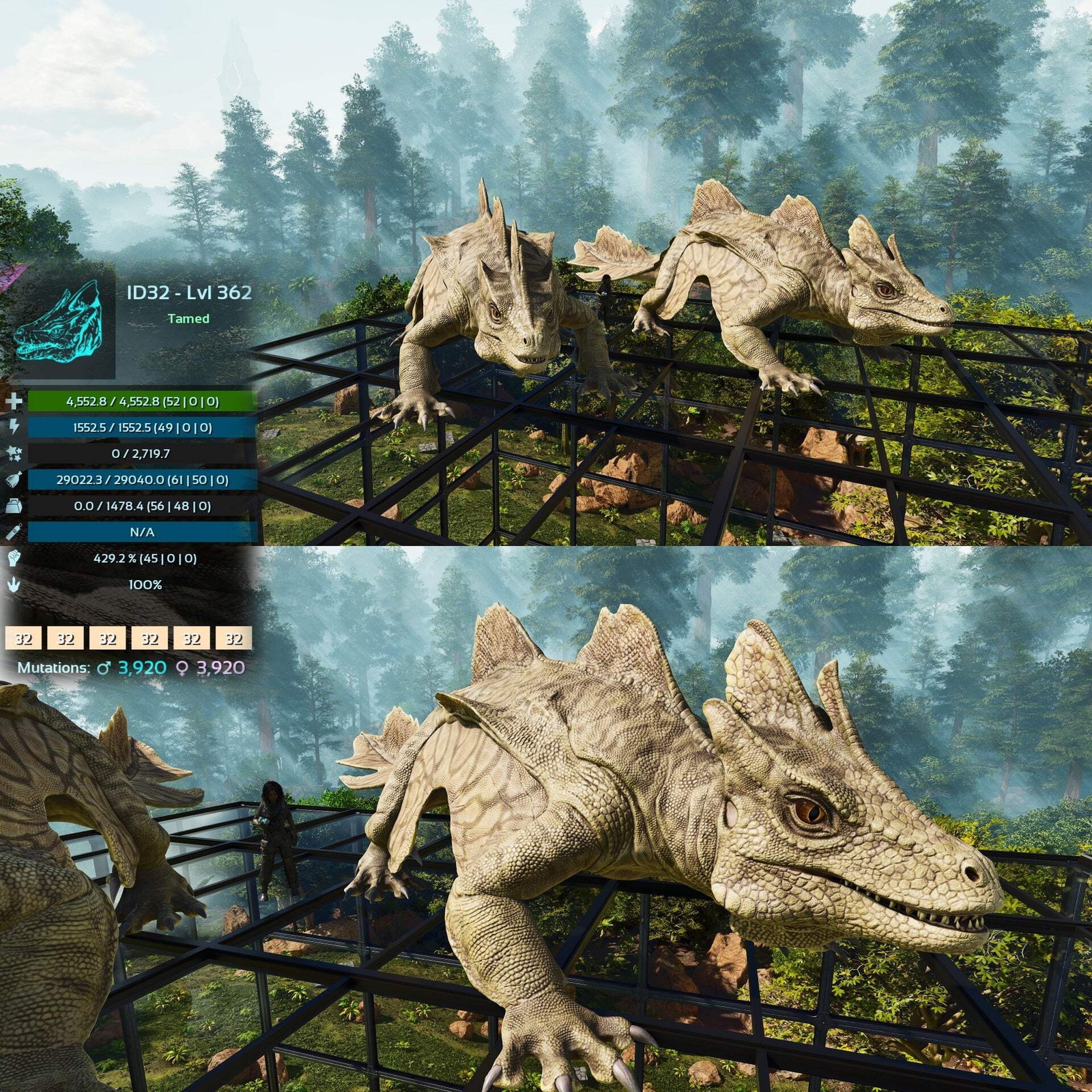 Maeguana Max Level 362 🍼 ASA PVE 🦖ARK Survival Ascended