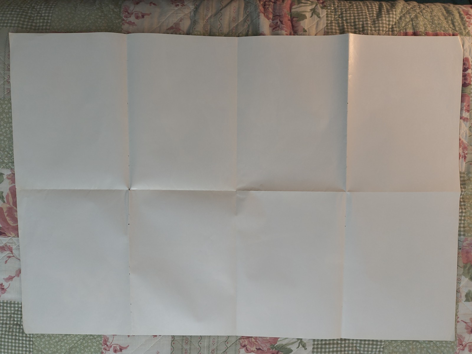 1990s Promotional Star Fox Single Sided Poster 30 X 20.5 **Look”*